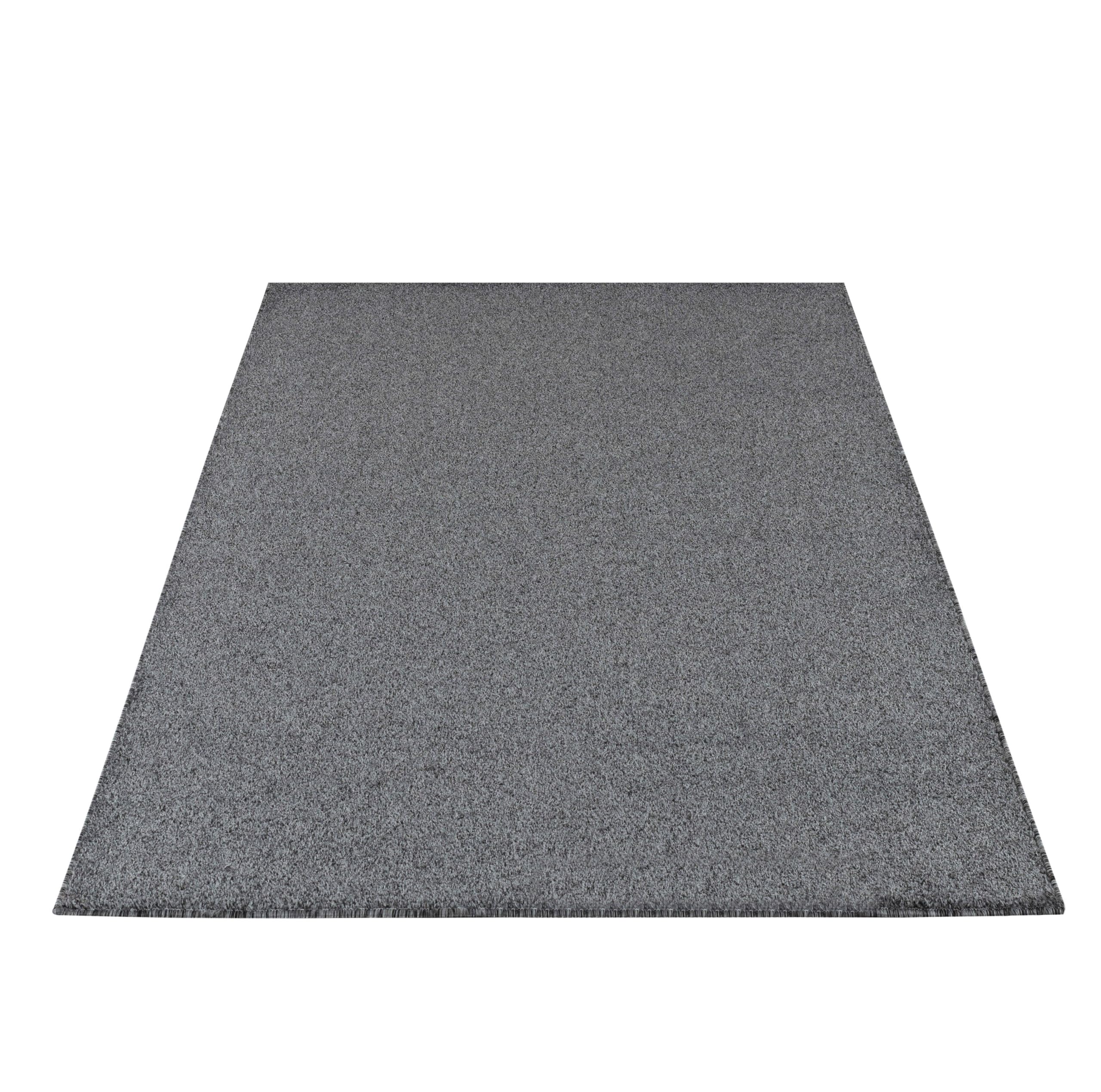 HomebyHome Tapis 160x230 cm Gris, revêtement à Poils Courts, Couleur Sobre, Structure Stable pour Salon et Chambre