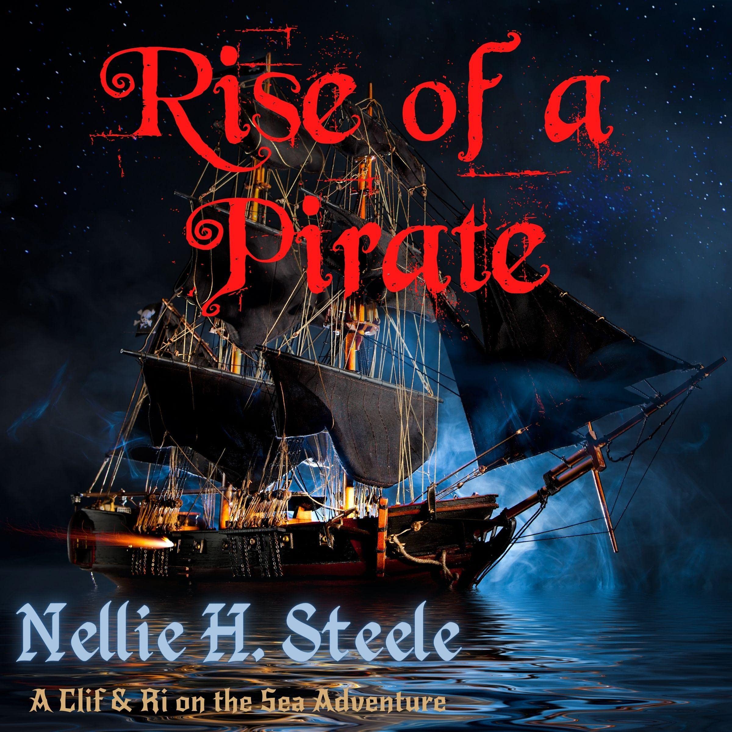 Cover art for Rise of a Pirate