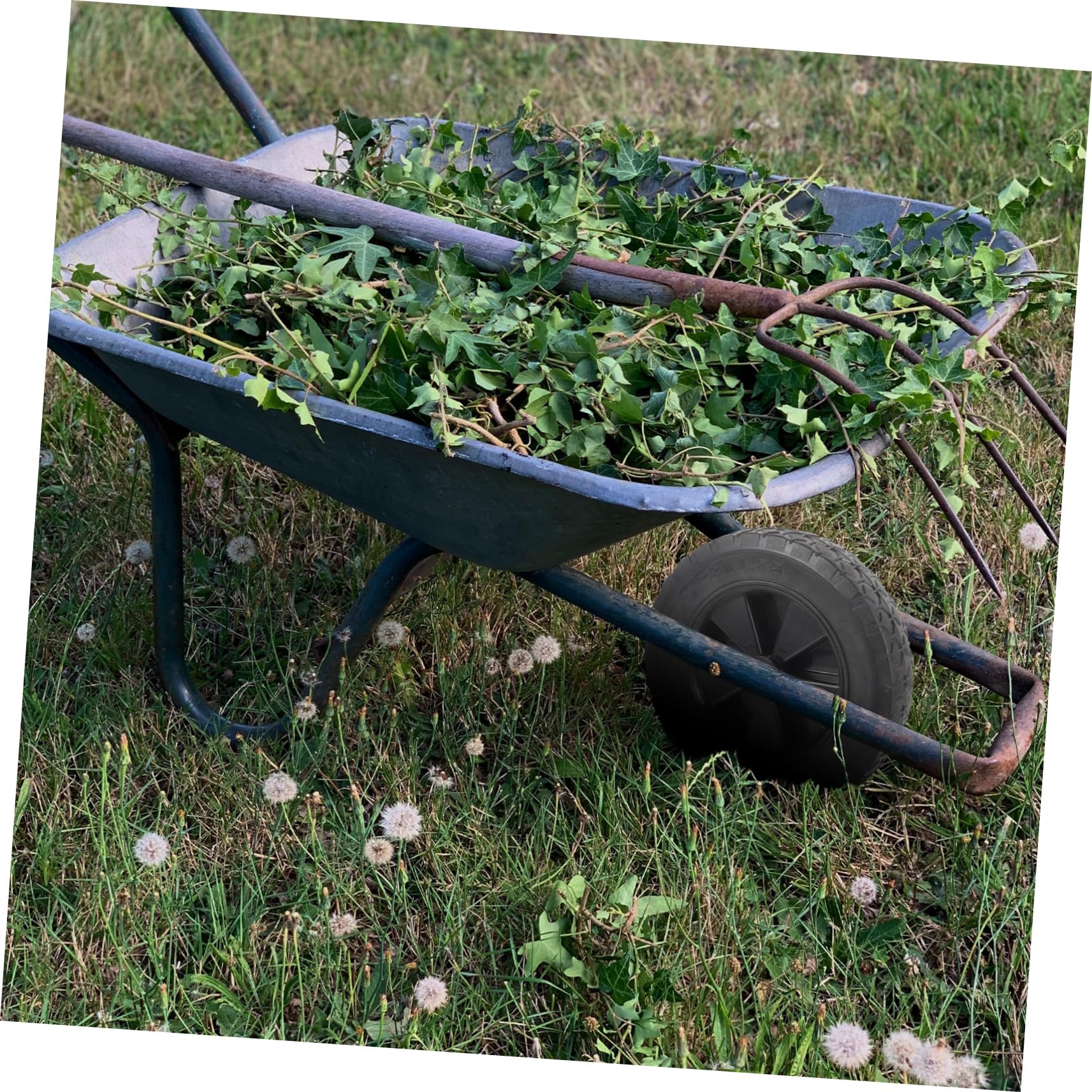 Roue de Chariot en Caoutchouc Noir, Solide, pour Jardin et Main