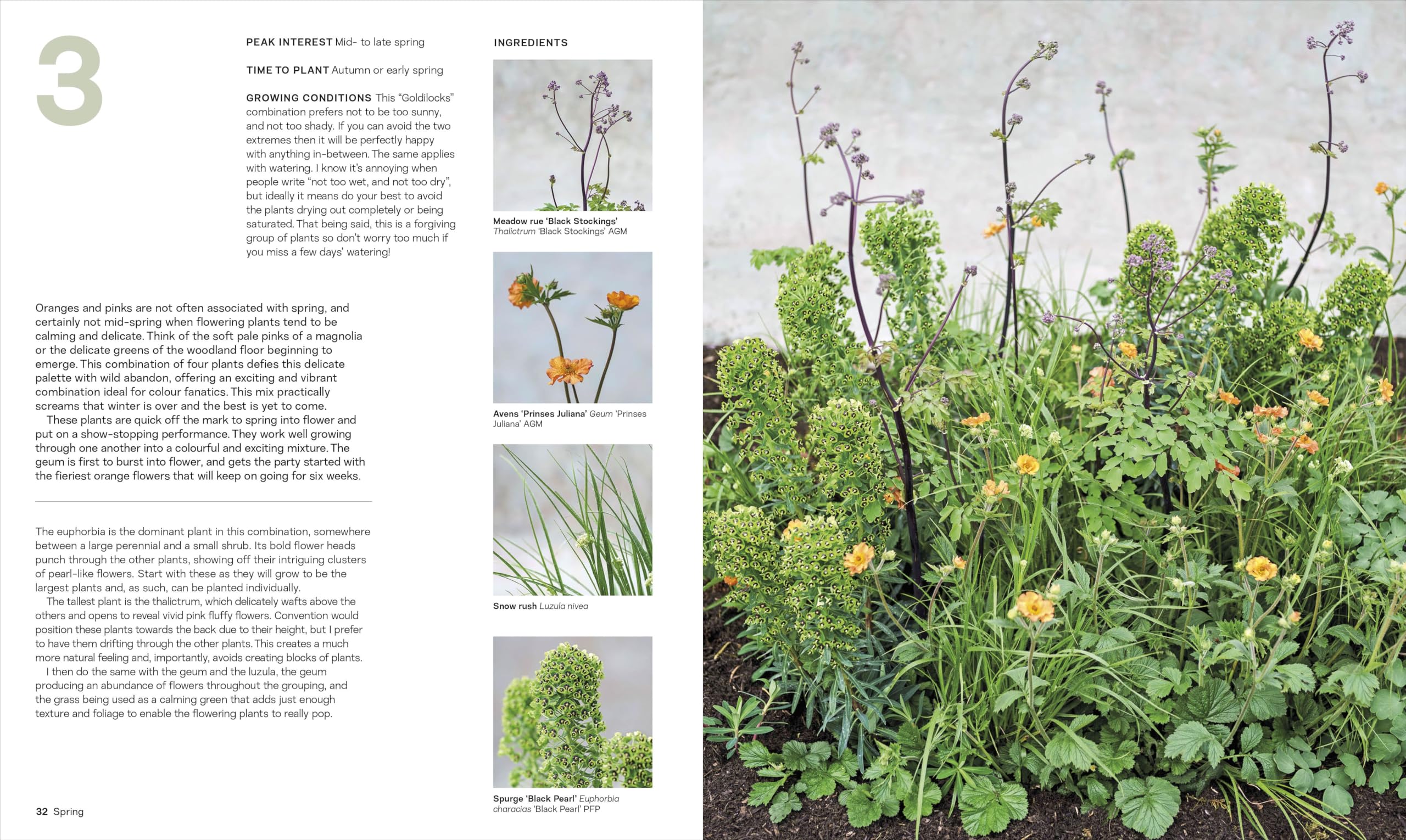 What Grows Together: THE INSTANT SUNDAY TIMES BESTSELLER