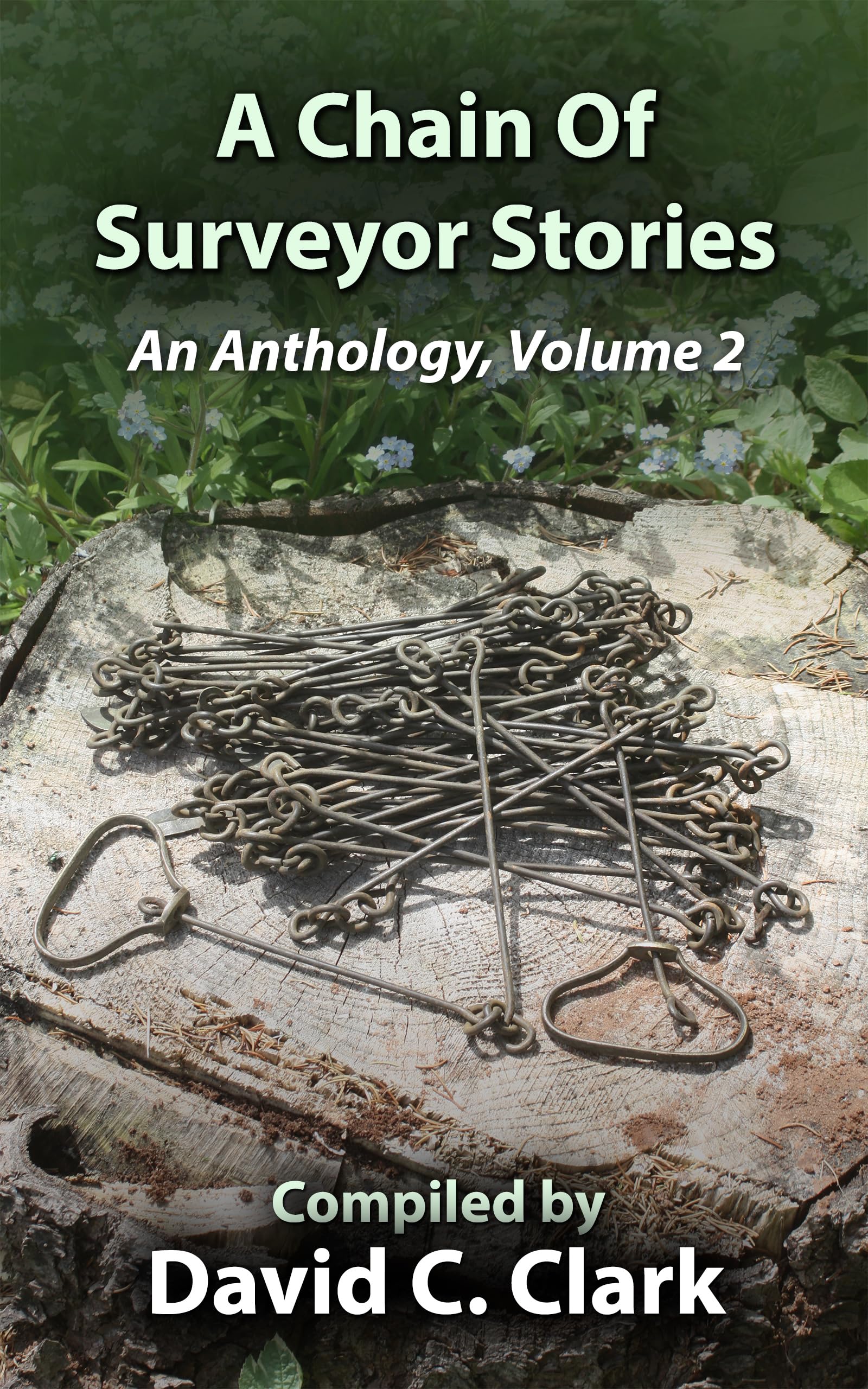 A Chain of Surveyor Stories: An Anthology, Volume 2