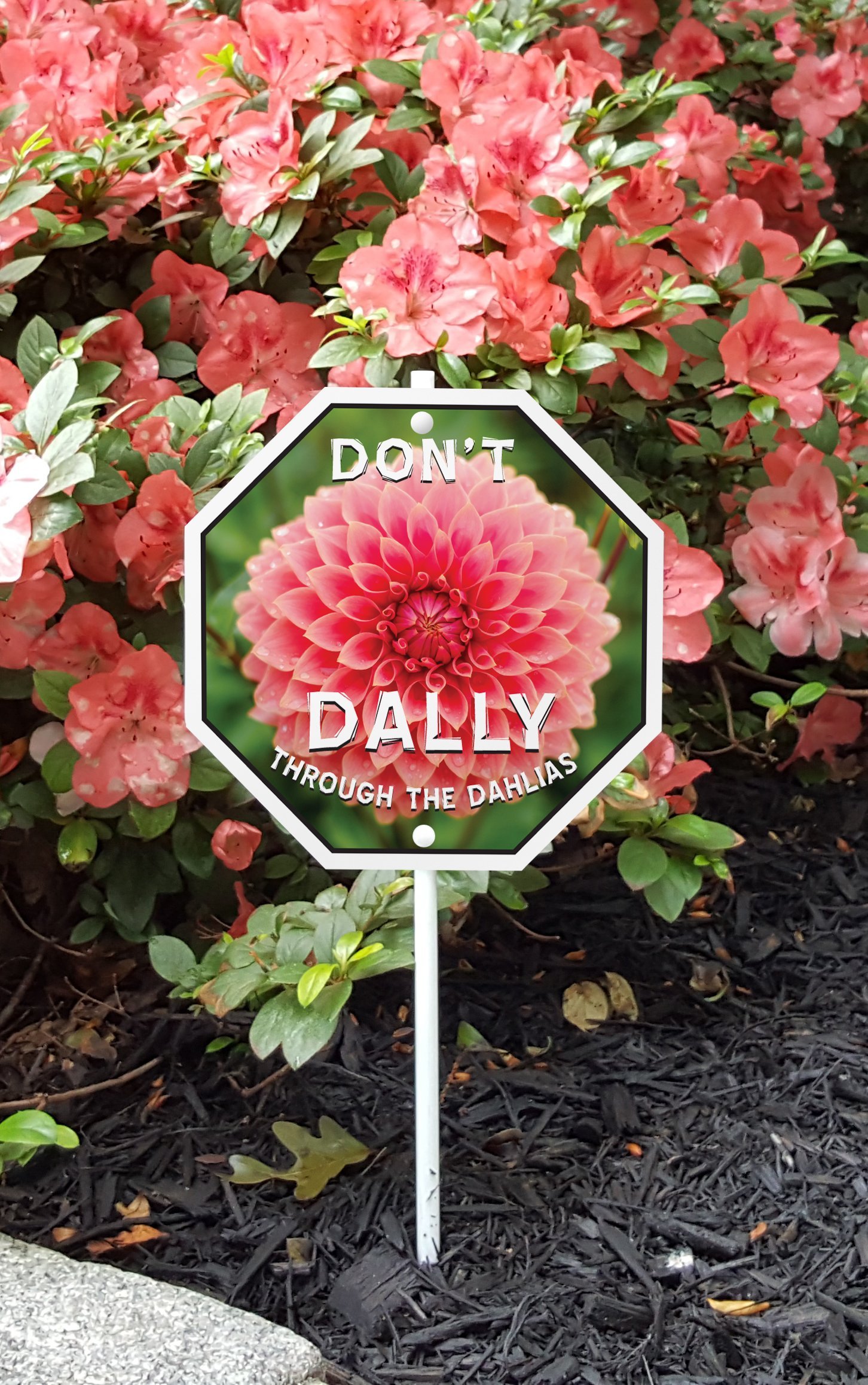 Panneau de jardin Dahlia Imagine This plaque décorative extérieure
