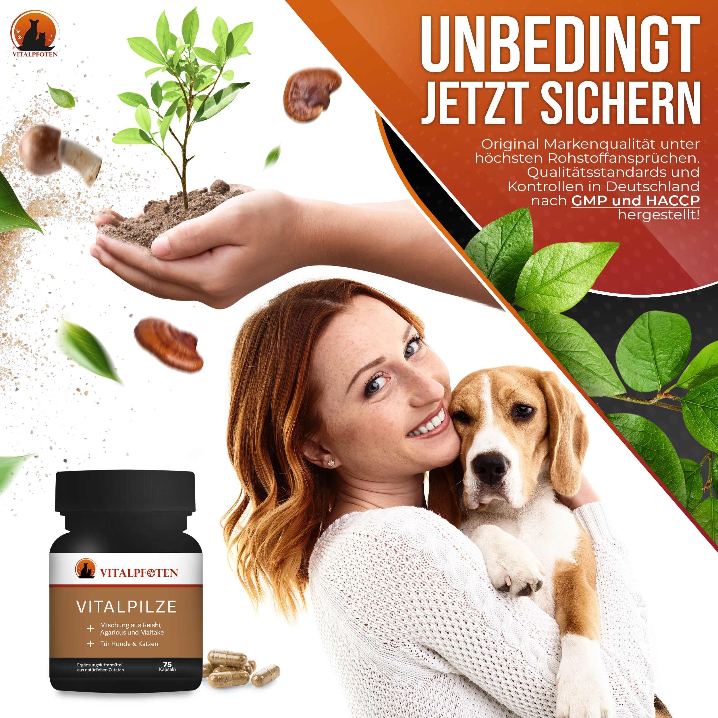 3x75 Vitalpilze Kapseln für Hunde & Katzen mit Heilpilz-Extrakt aus dem ganzen Fruchtkörper für das Immunsystem und Fellpflege