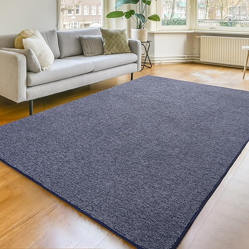 Amearea Modern Soft Area Rug, Chic Color Washable Rugs for Living Room, Home Decor Fluffy Carpet, Cute Accent Kids Rugs for for Bedroom Nursery Dorm Indoor Room Decor, Blue White, 6x9 Feet