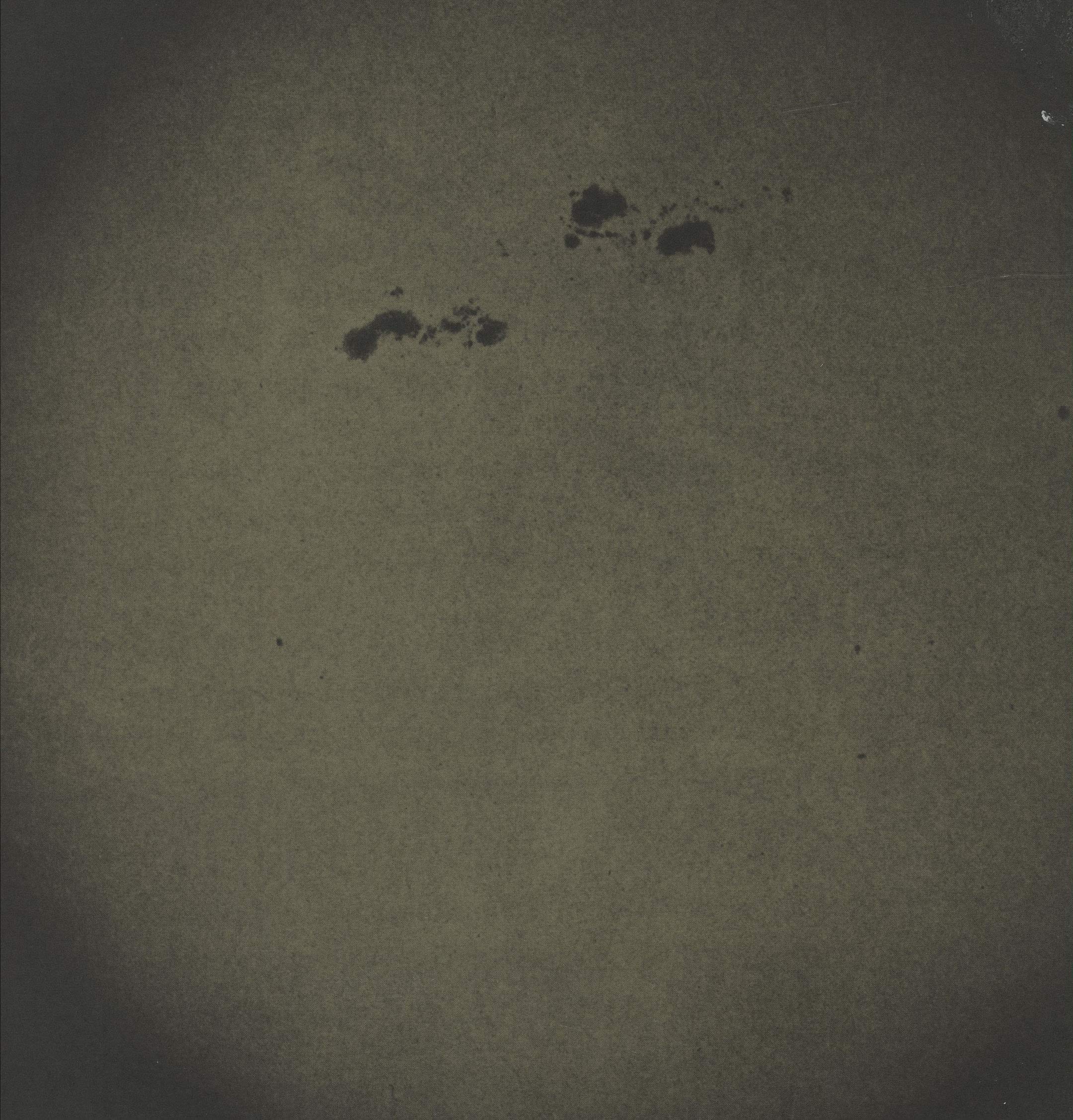 Survive [VINYL]