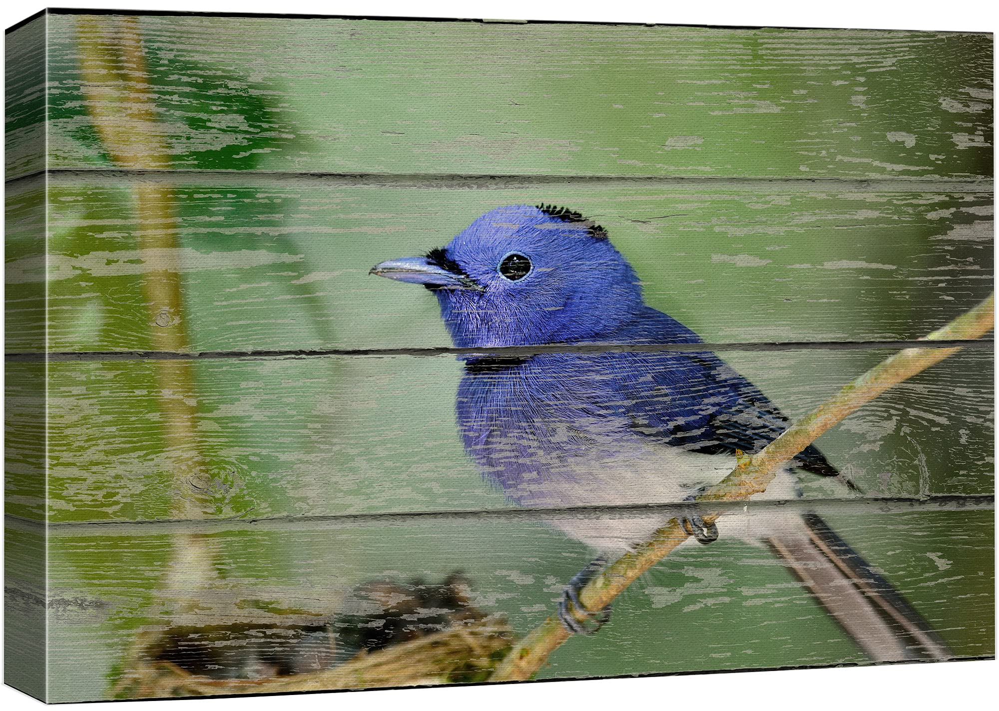 Amazon.co.jp: (キャンバスウォールアート) Canvas Wall Artジークレー