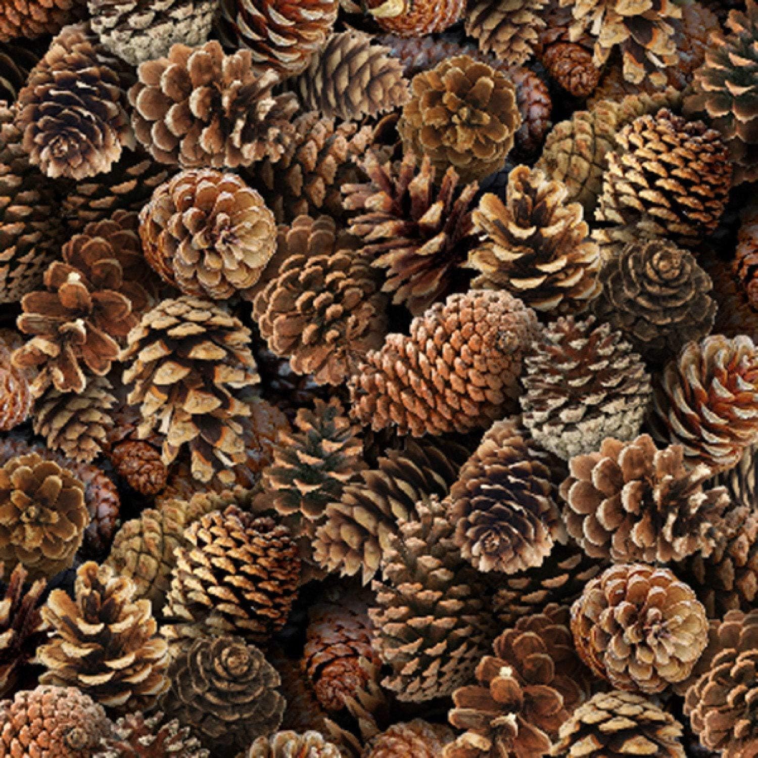 Pine Cone Fabric Landscape Medley in Brown from Elizabeth's Studios 100% Cotton