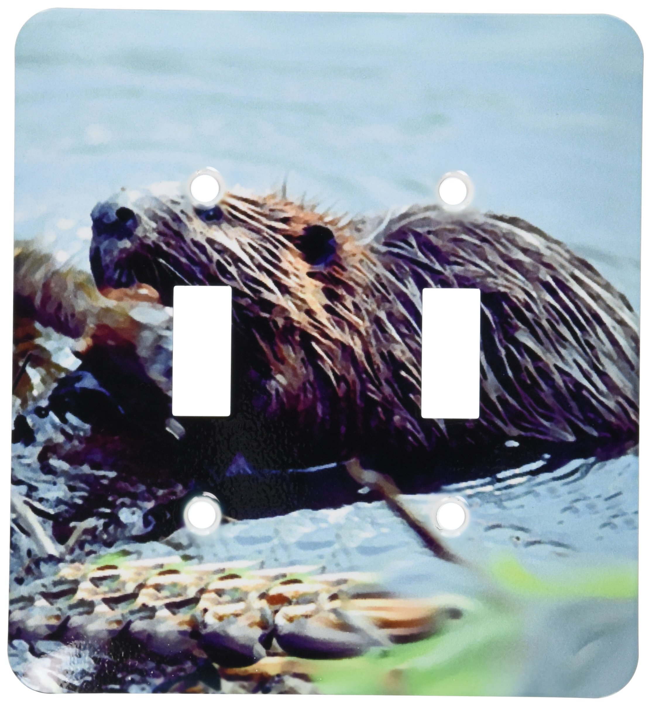 3dRose lsp_1021_2" Beaver Double Toggle Switch