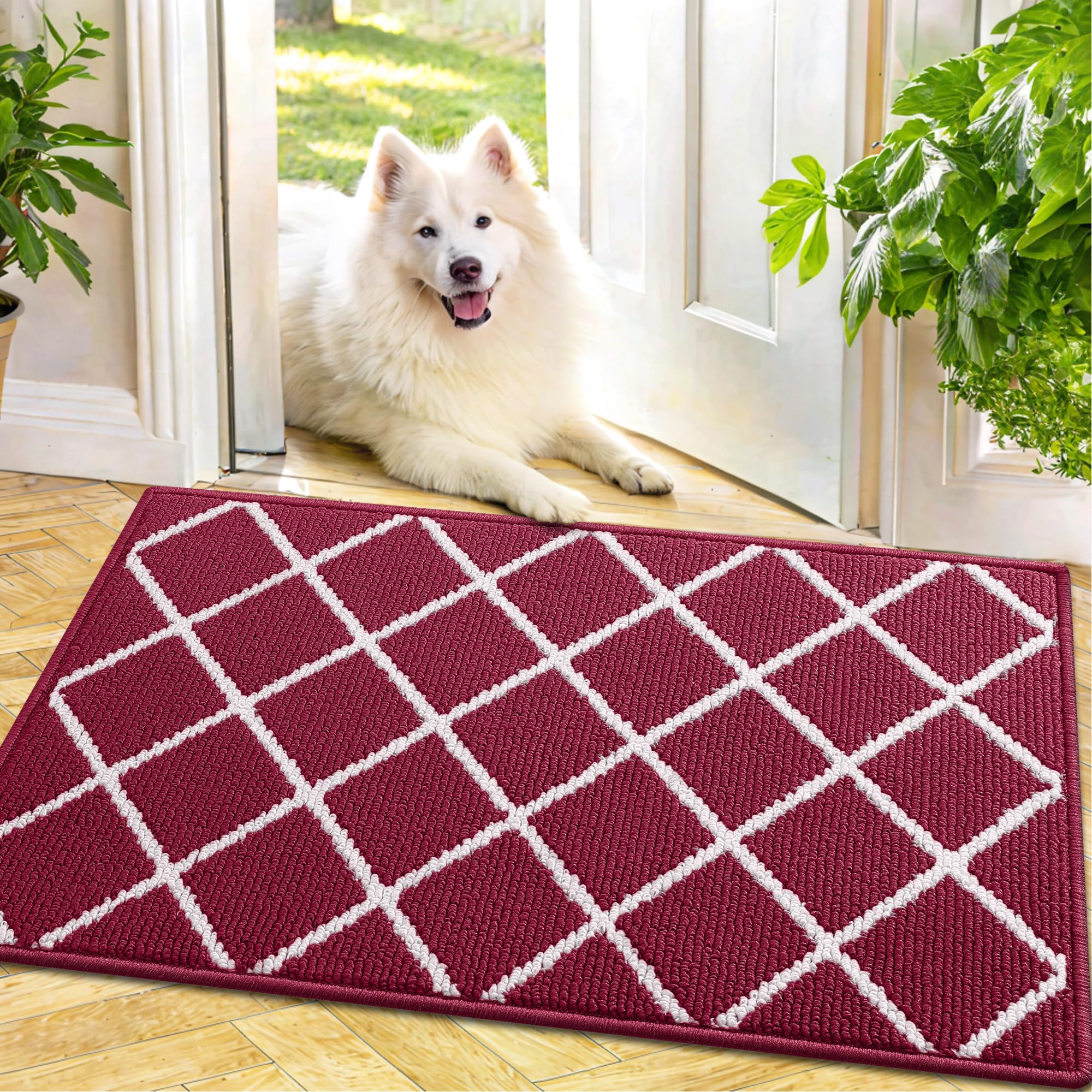 Finchitty Indoor Door Mat, Dirt Resistant and Absorbent, Low-Profile, Non-Slip, Washable Inside Floor Mats for Front Door, Back, and Entrance, 30" x