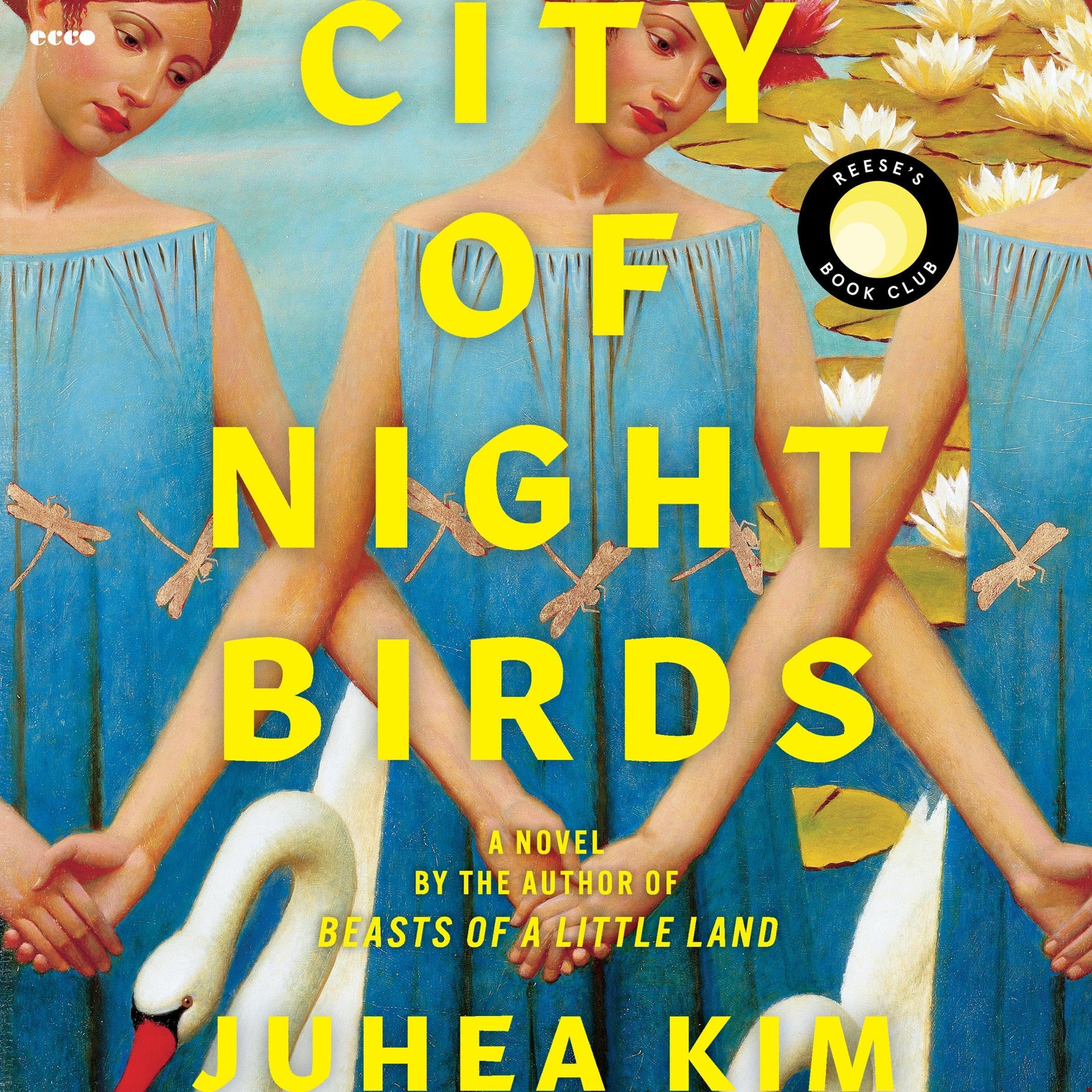Cover art for City of Night Birds