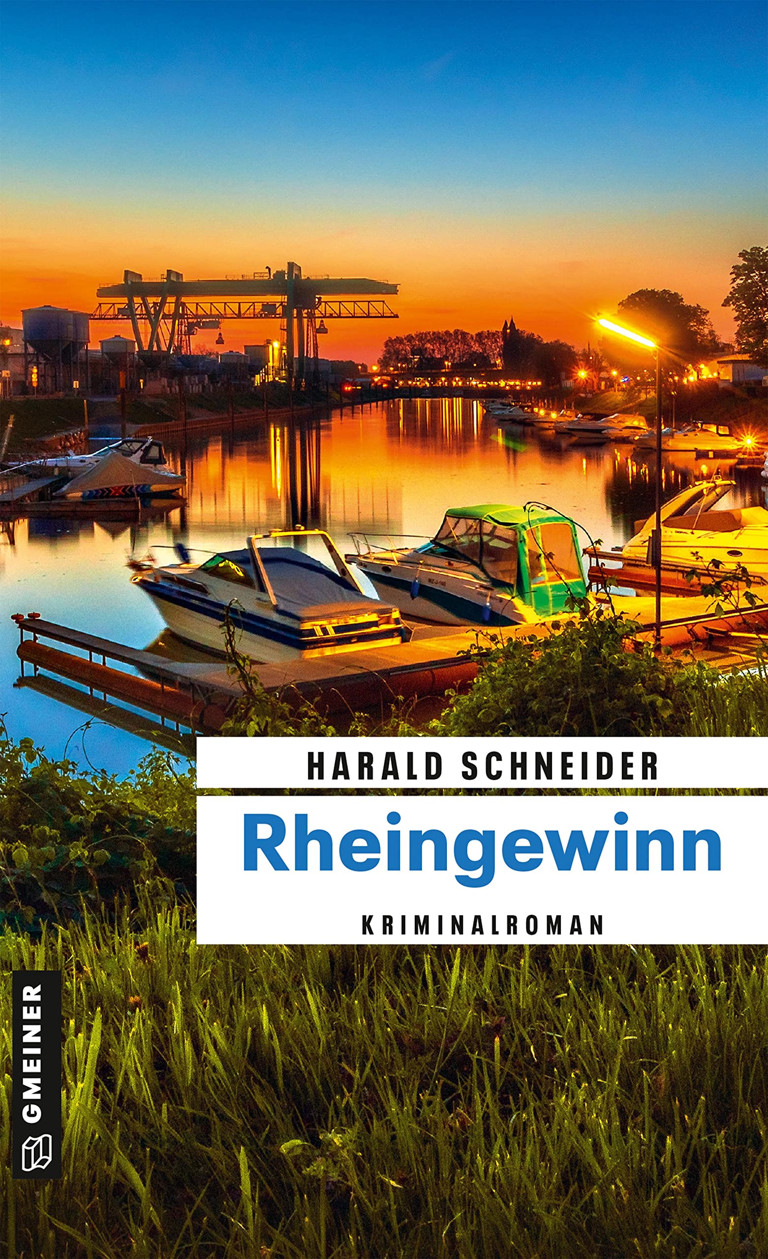 Rheingewinn: Kriminalroman