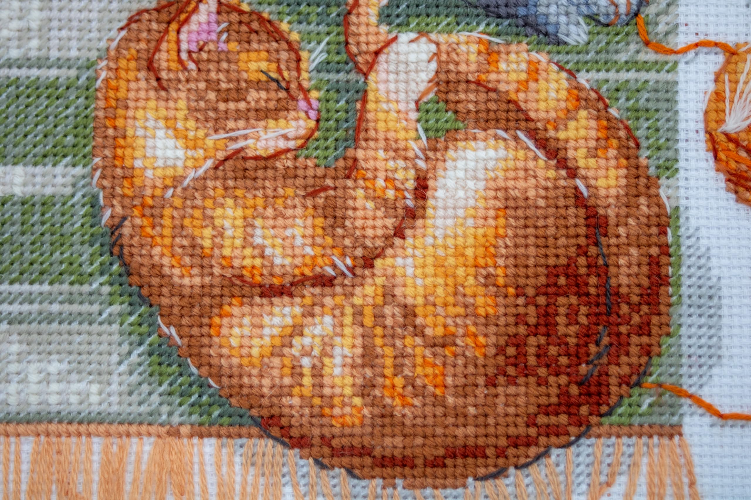 Aine - Gatti e Fili A1035, Gatto Punto croce 20x20cm, Punto croce kit da ricamare, Disegni da ricamare, Embroidery kit, Animali Kit ricamo punto croce