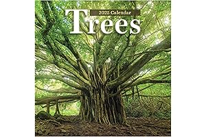 2025 TF Publishing Trees Wall Calendar