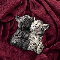 Vista 411 de Utopia Bedding - Manta de vellón de lujo, mullida, antiestática; manta de suave microfibra de 8.8 oz/yd² (300 g/m²) para cama; tamaño individual