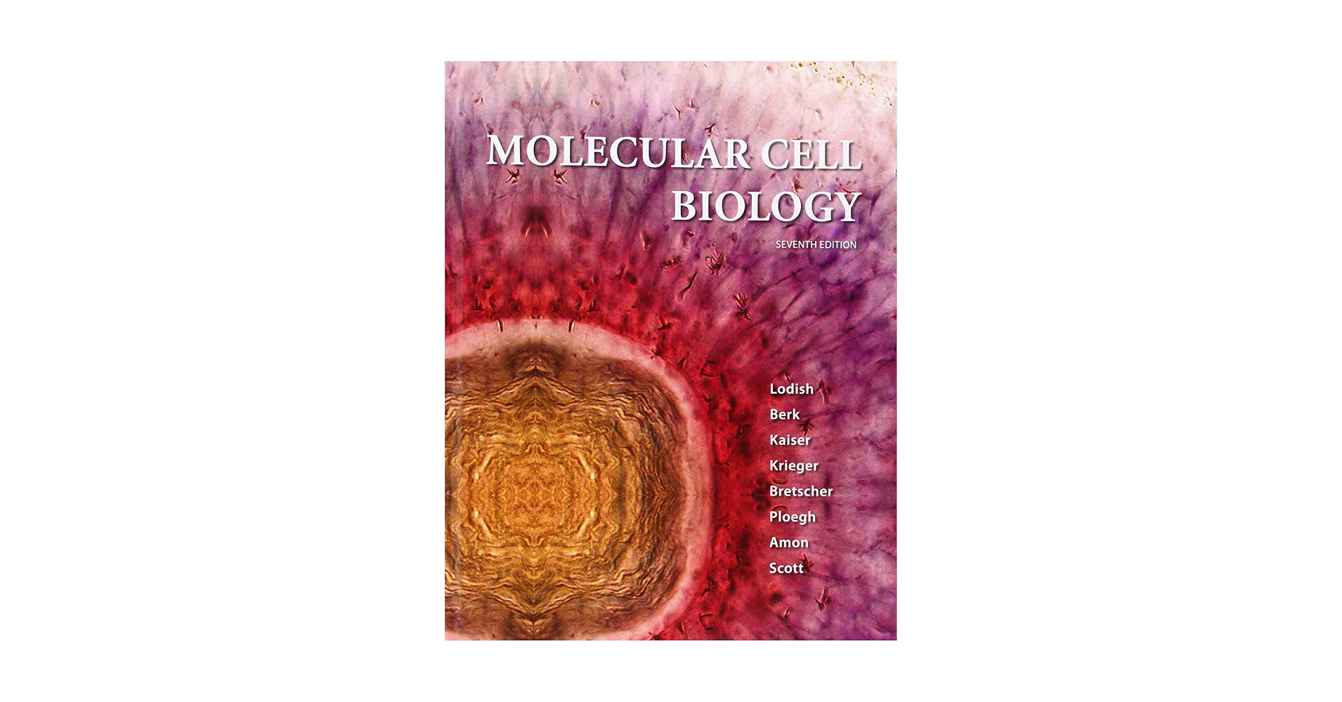 語学・辞書・学習参考書 MOLECULAR BIOLOGY OF THE CELL 7th Molecular Biology of the Cell: Alberts, Bruce, Heald