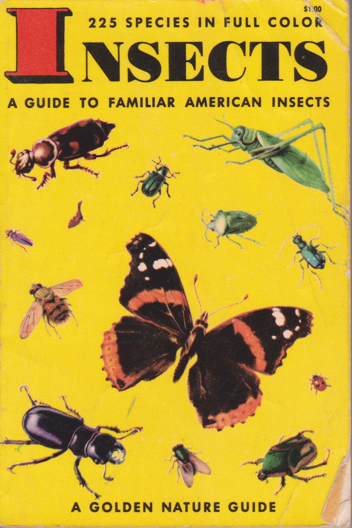 Insects: A Guide to Familiar American Insects