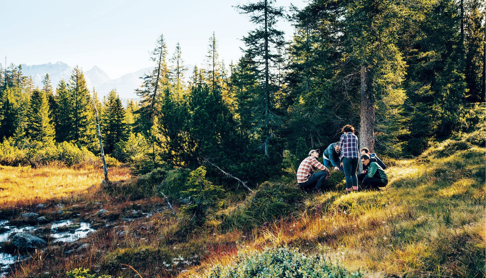 Cook The Mountain [Edizione italiana; 2 Bde. im Schuber]: The Nature Around You. 2020 Premiato con il German Cookbook Award Gold & GOURMAND AWARD GERMANY »Man Chef Book«