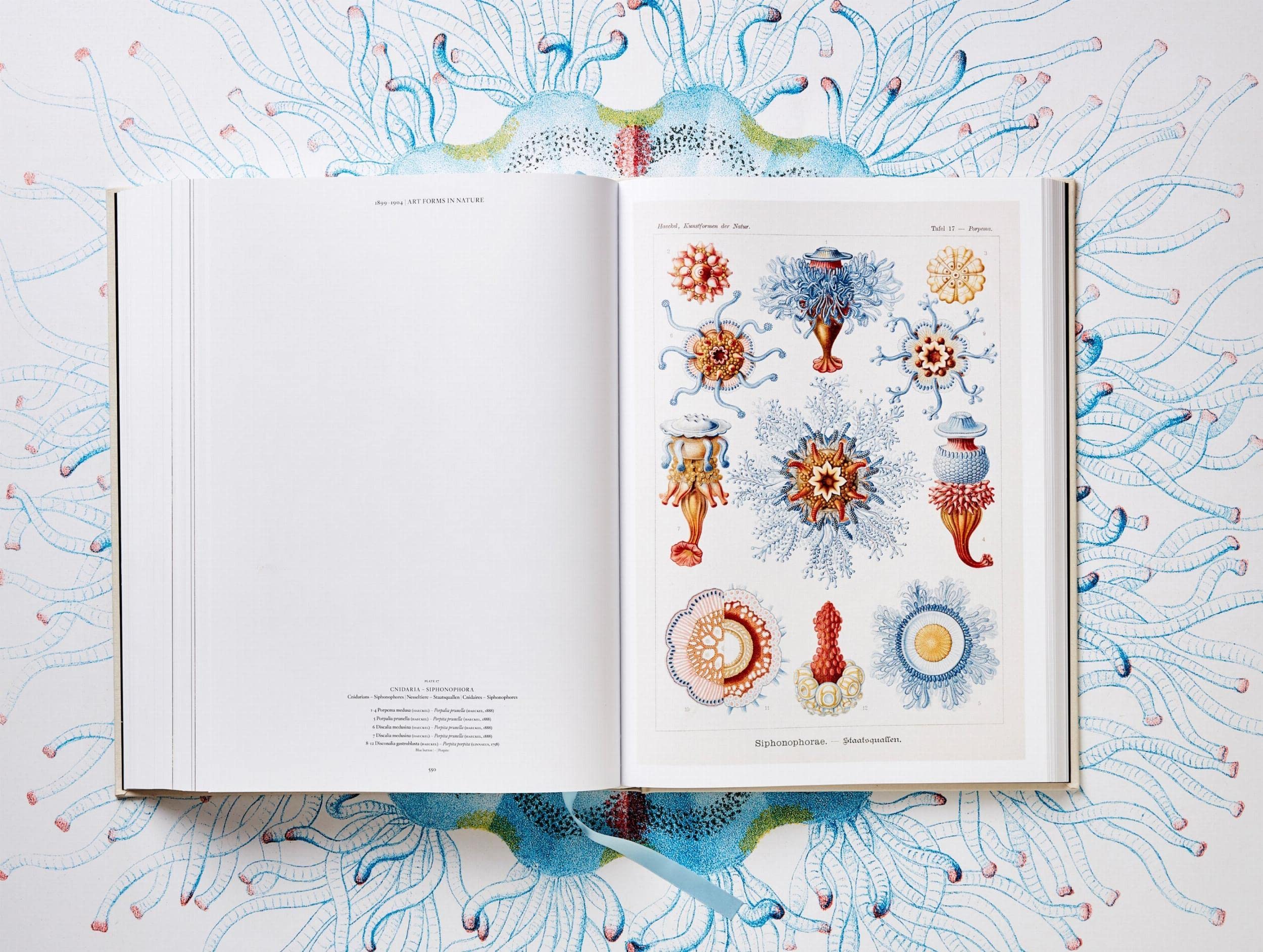 The Art and Science of Ernst Haeckel: The Complete Plates