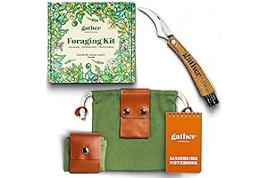 The Ultimate Mushroom Foraging Assistant: An Indispensable Kit for Nature's Bounty