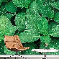 Vista 11 de wall26 serie Wall Mural Papel de empapelar autoadhesivo, grande., WMR-WP-X-D984-66x24x4