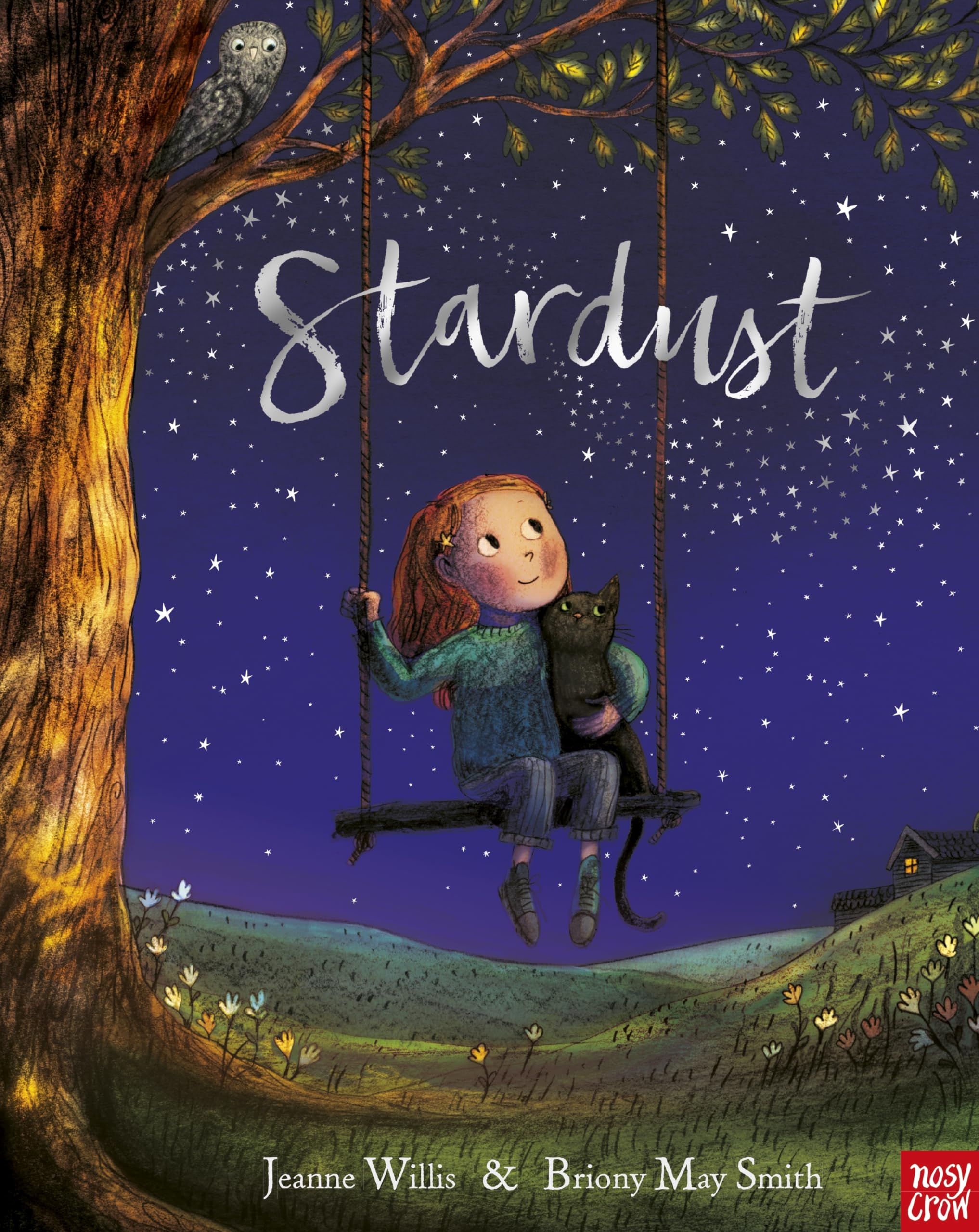 Stardust by Jeanne Willis PAPERBACK 9781788000697