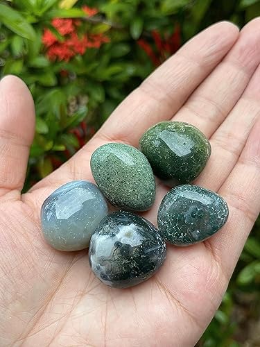 Miniatura 171 de GAF TREASURES Piedras pulidas de ojo de tigre de 1/2 libra, piedra preciosa natural pulida, cristales curativos de ojo de tigre (ojo de tigre)