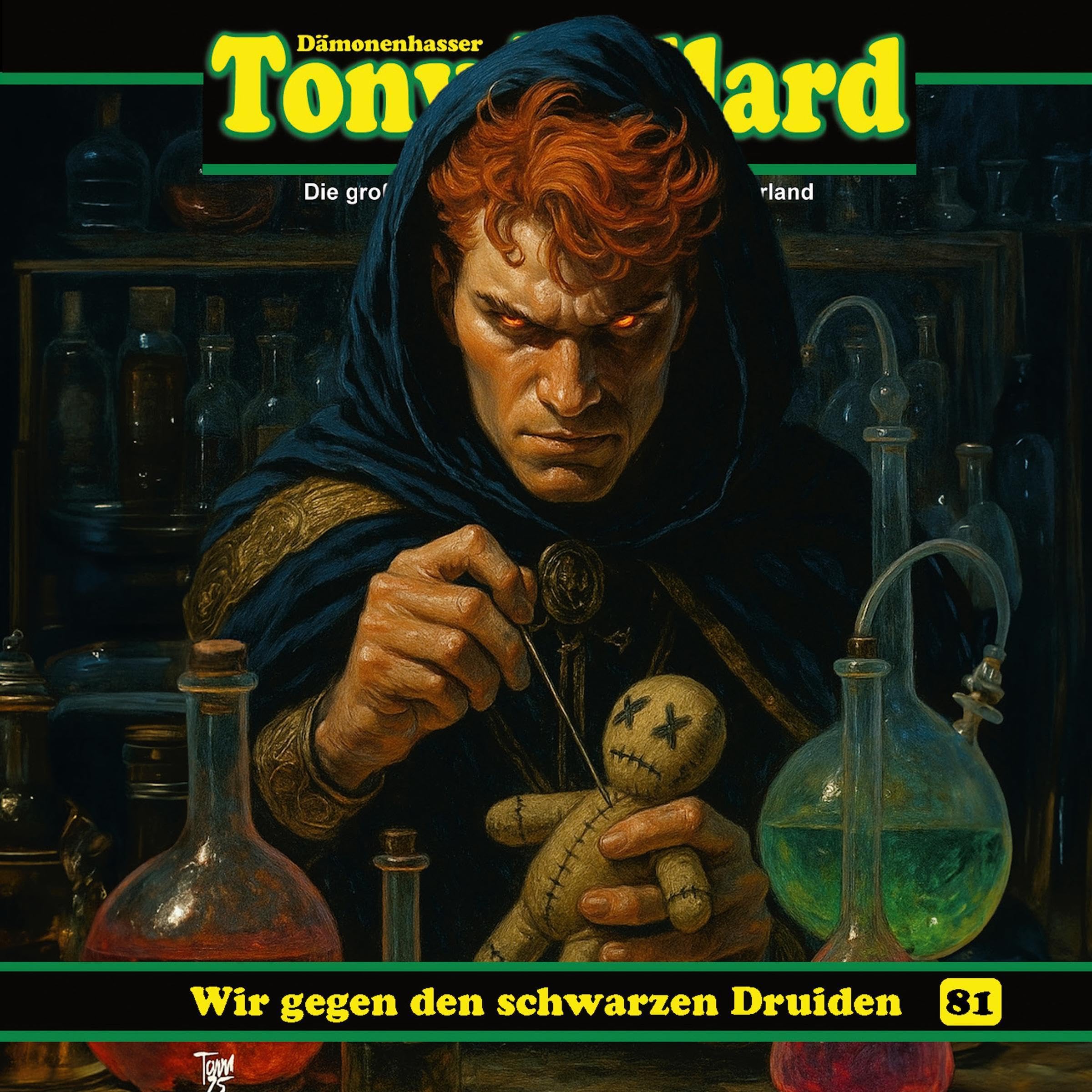 Cover art for Wir gegen den schwarzen Druiden