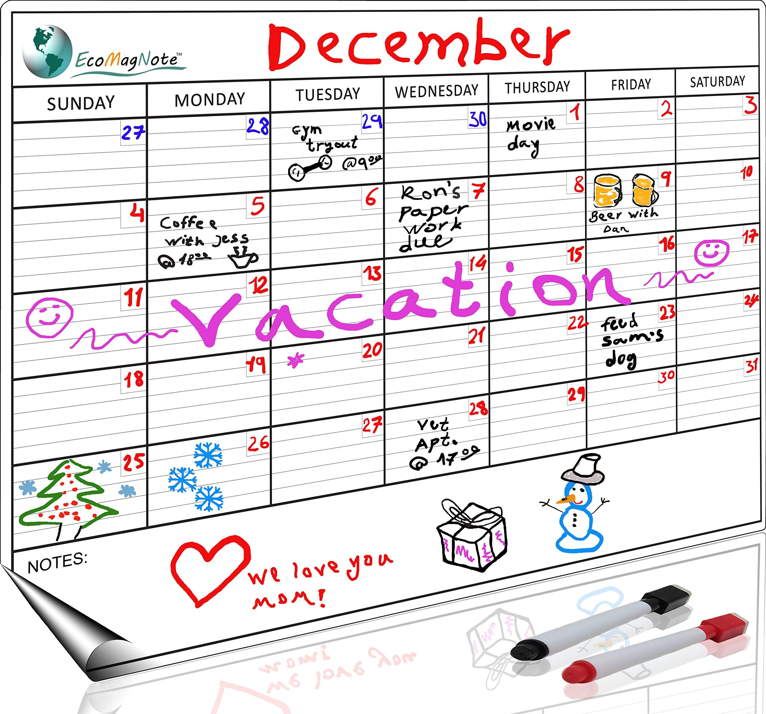 Monthly Magnetic Refrigerator Calendar | Dry Erase Calendar for Fridge | Magnetic Whiteboard for Refrigerator | White Fridge Magnetic Planner Organizer By EcoMagNote | BONUS Markers & eBook Included