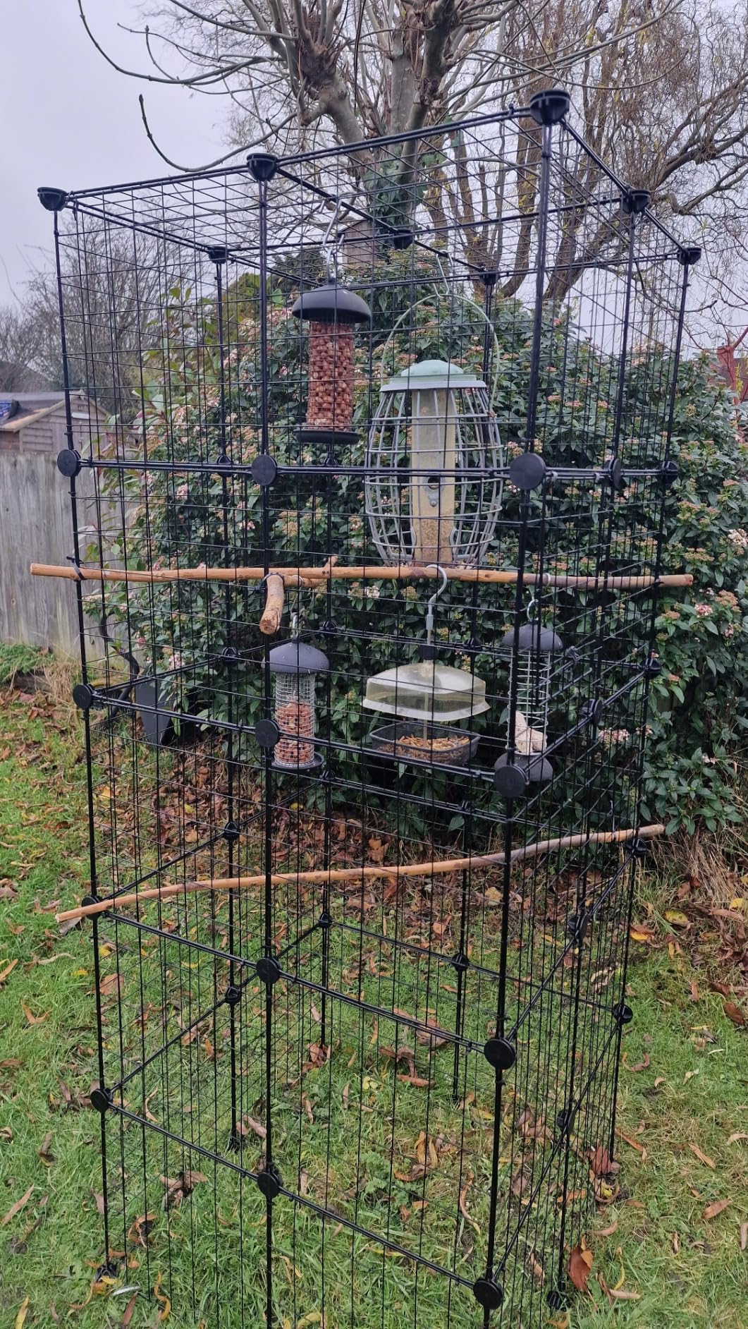 Customer photo