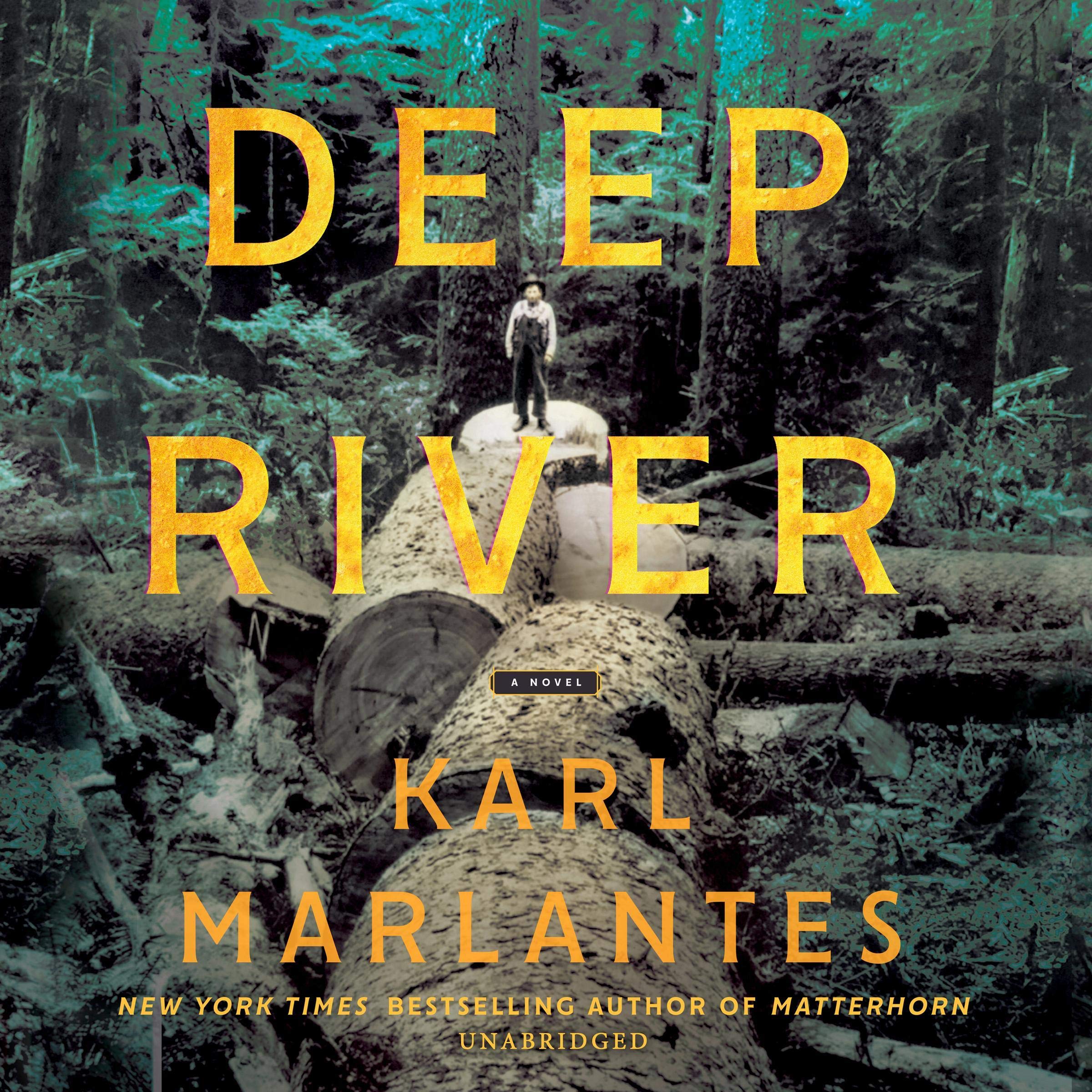 Deep River: A Novel
