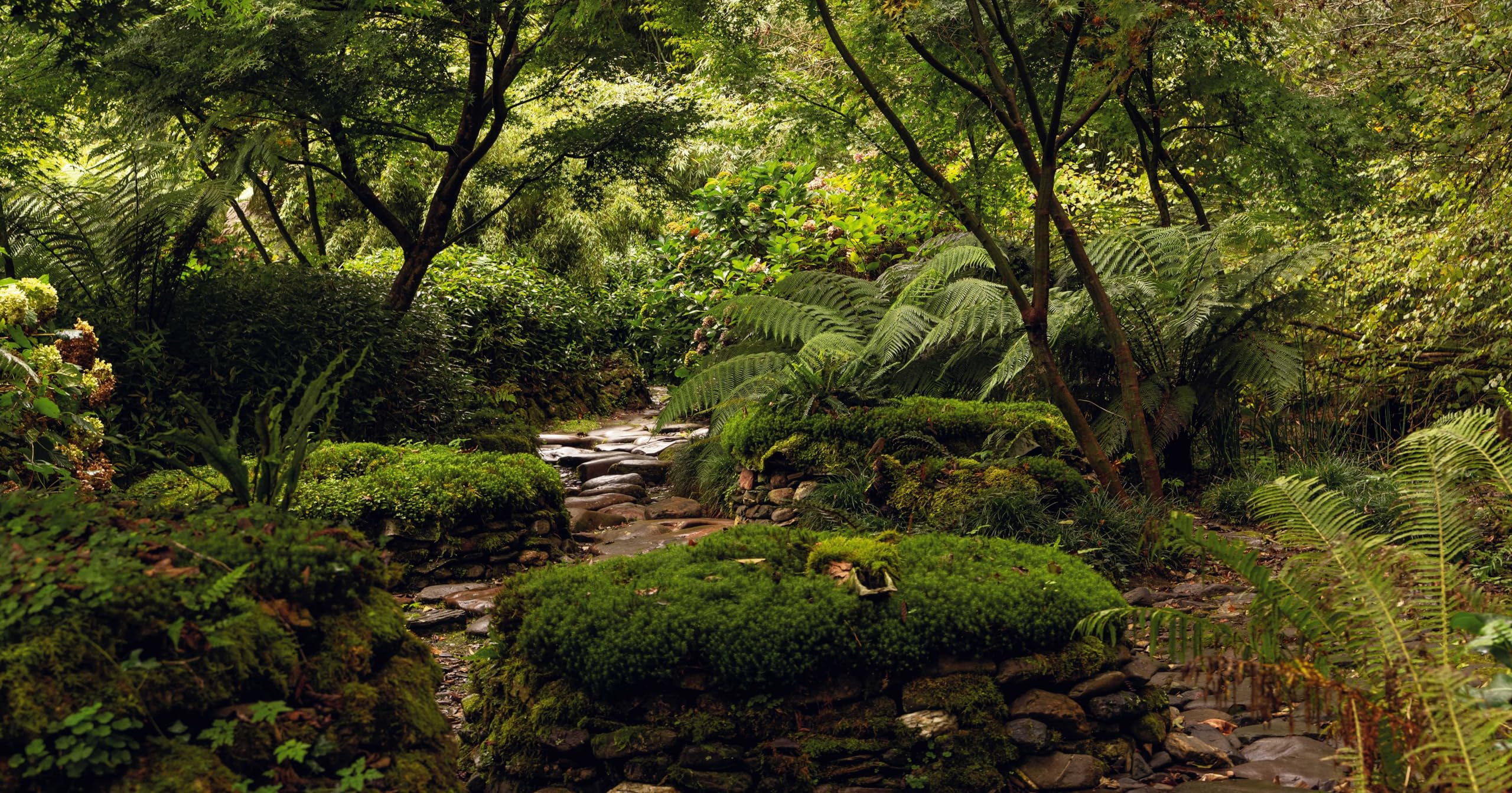 Spanish Gardens