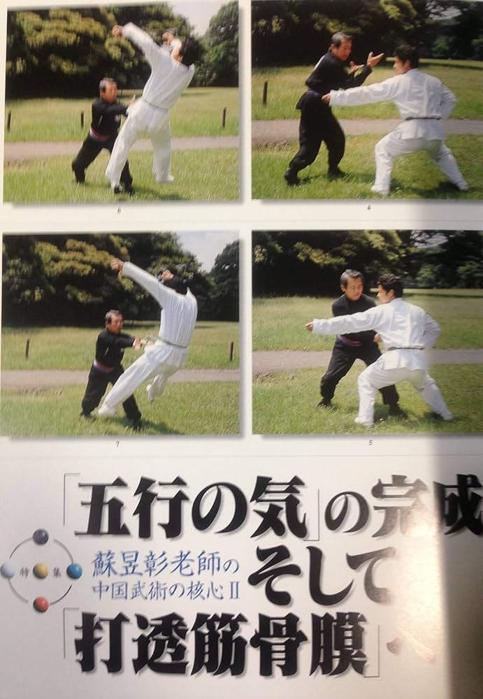 Amazon.co.jp: 中国武術 武芸 1997年冬号 : BABジャパン