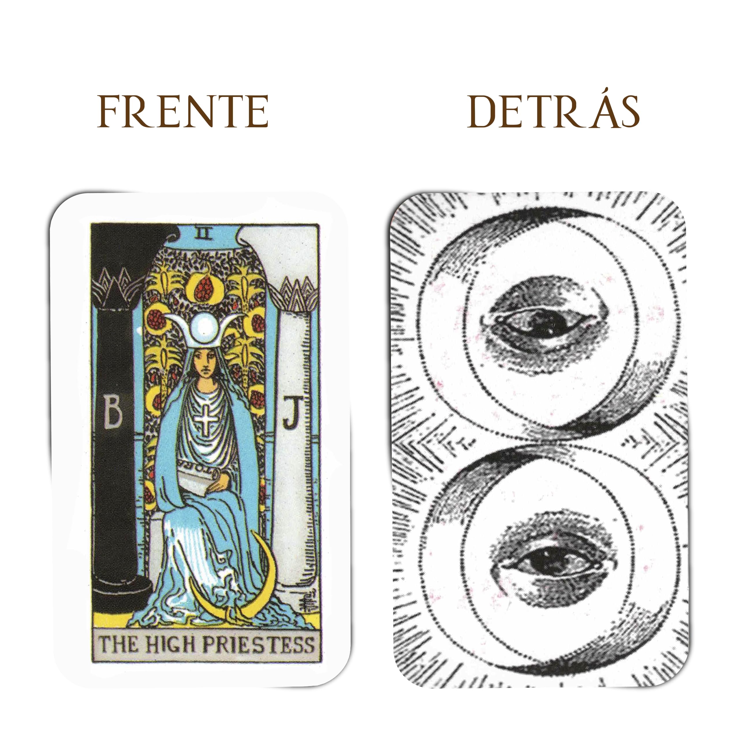 Tarocchi Rider Waite Mini, 78 carte di indovinazione + manuale digitale, lettura intuitiva e spirituale, dimensioni 8 x 5 cm