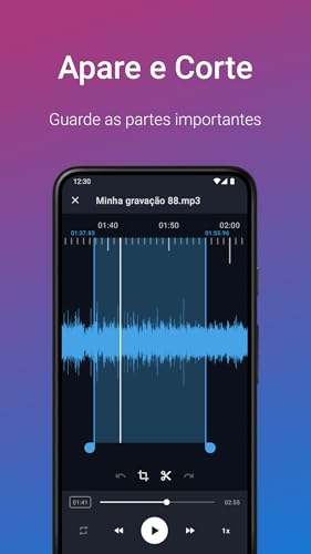Gravador de Voz Fácil Pro