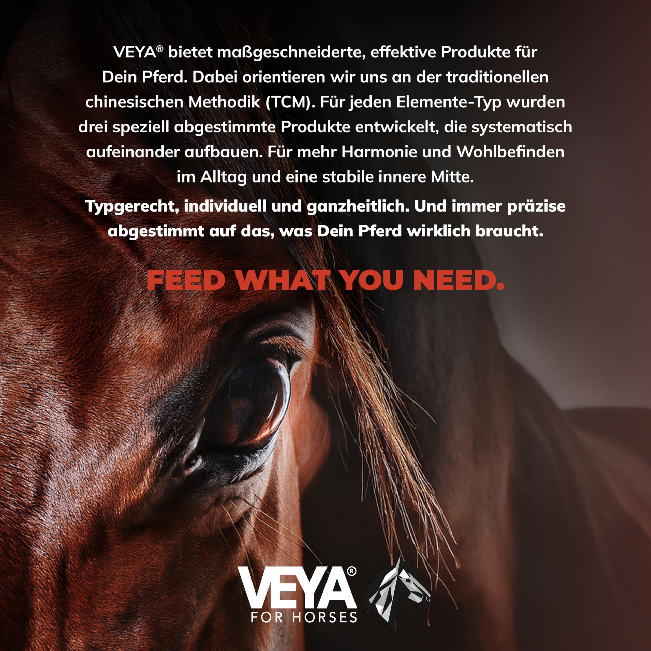 VEYA® by STRÖH Feuer-TYP 2 Gefäße & Herz-Kreislaufsaft (1L) • Ergänzungsfuttermittel für Pferde mit Weißdorn, Ginkgo & Herzgespann • Natürliche Unterstützung des Kreislaufsystems