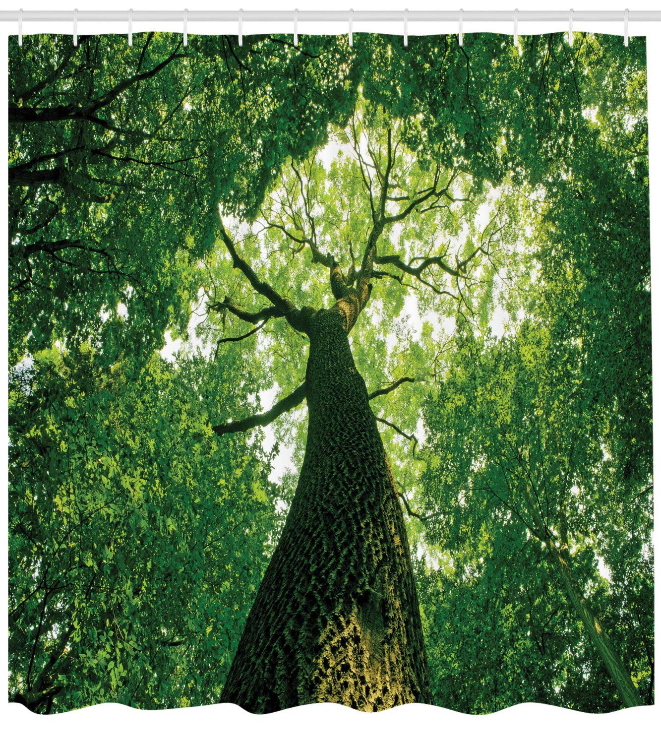 ABAKUHAUS Forest Shower Curtain, Tall Old Tree View Sun Rays Top Branches Leaves Nature Picture - Image 2