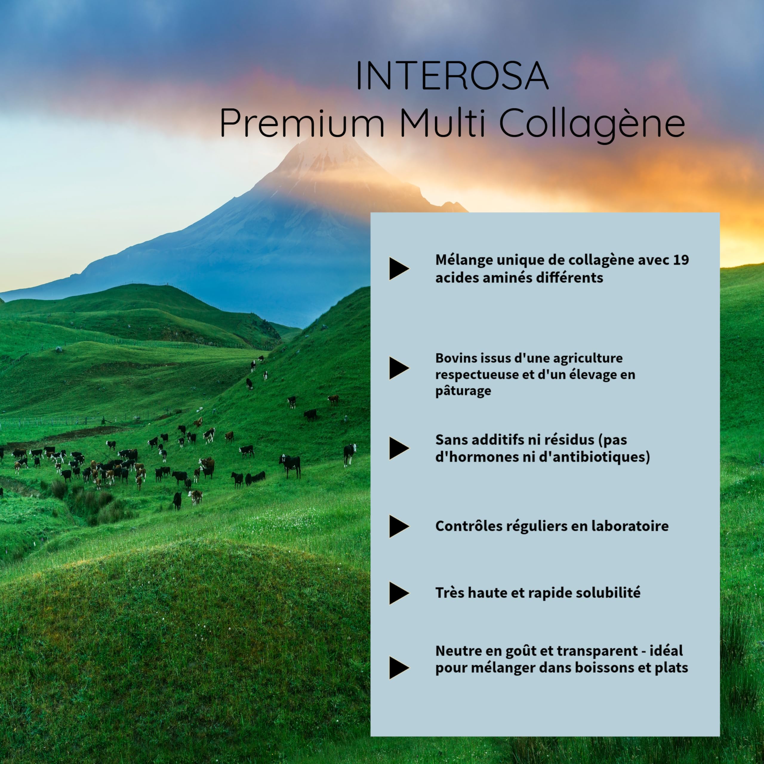 Poudre de collagène 500 g - peptides de collagène de type 1 2 3 5 10 - complexe de collagène premium insipide - protéine hydrolysée super soluble
