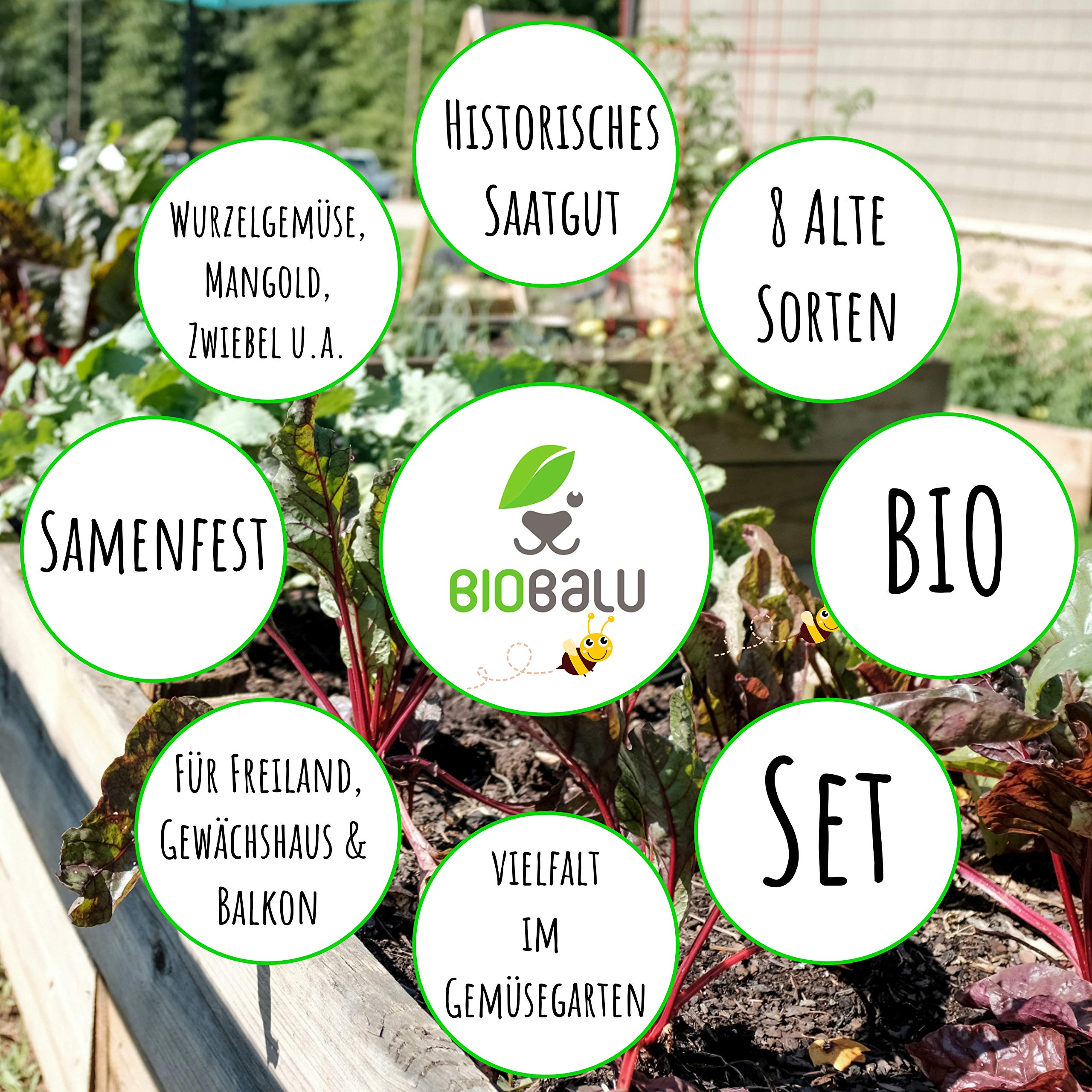 Biobalu Gemsesamen Bio - 8 Alte Sorten - Historisches Saatgut Set Gemse,  Saatgut Raritten in Bioqualitt, Samenfeste & Seltene Gemsesorten fr  Freiland, Gewchshaus & Balkon - Geschenkset : Amazon.de: Garten