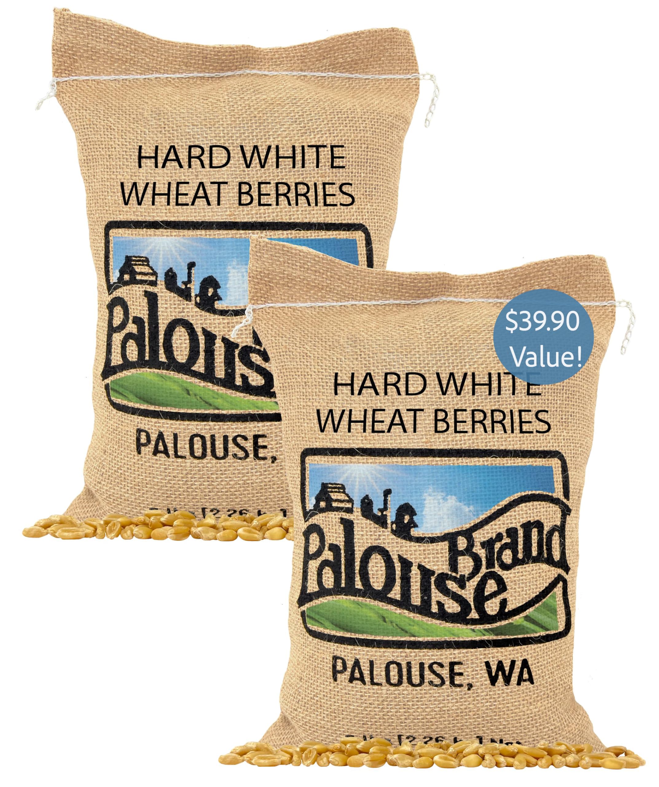 Palouse Brand Certified Glyphosate Residue Free Hard White Wheat Berries | 10 LBS | Family Farmed in Washington State | Non-GMO Project Verified |