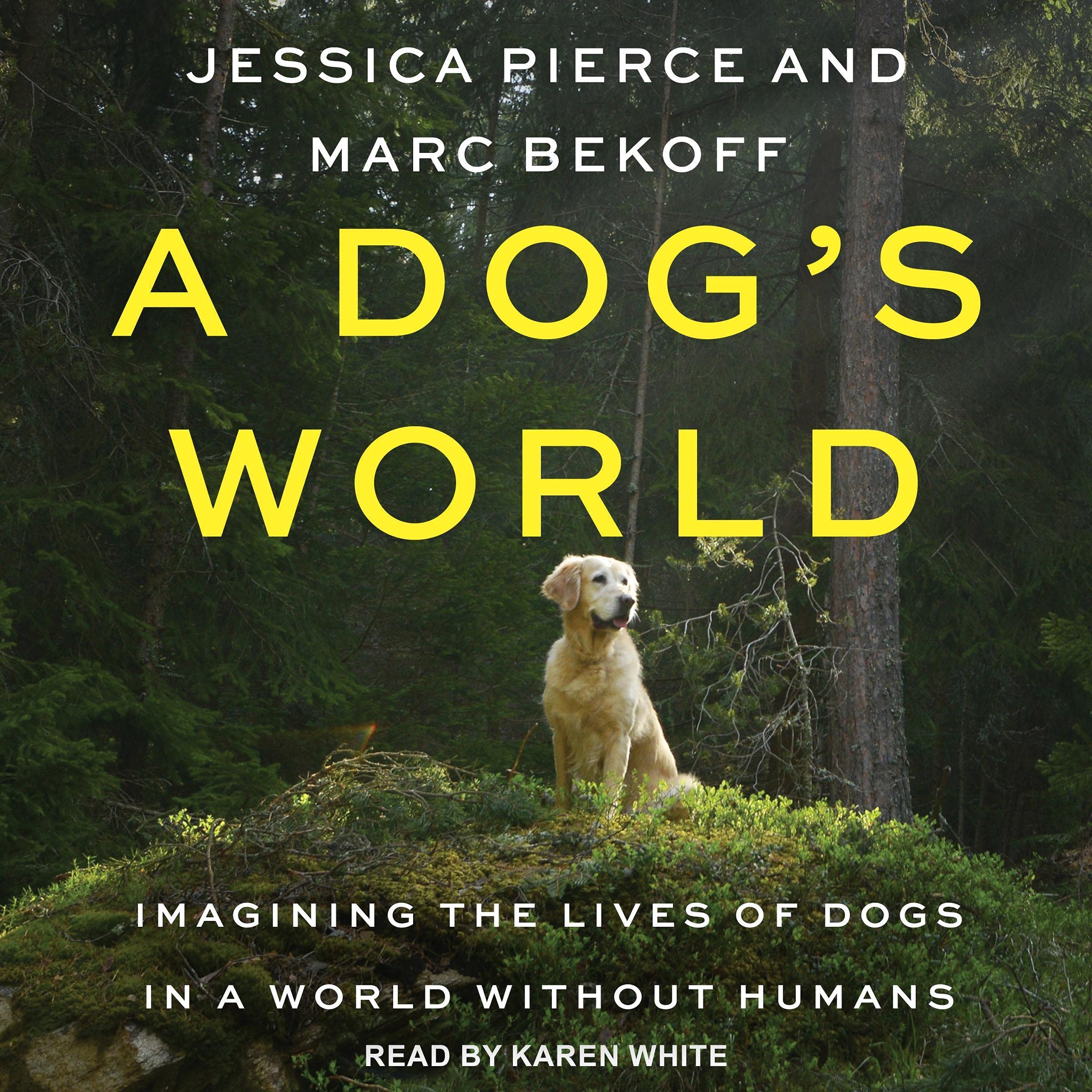 Cover art for A Dog's World