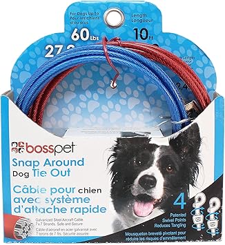 dog tie out amazon