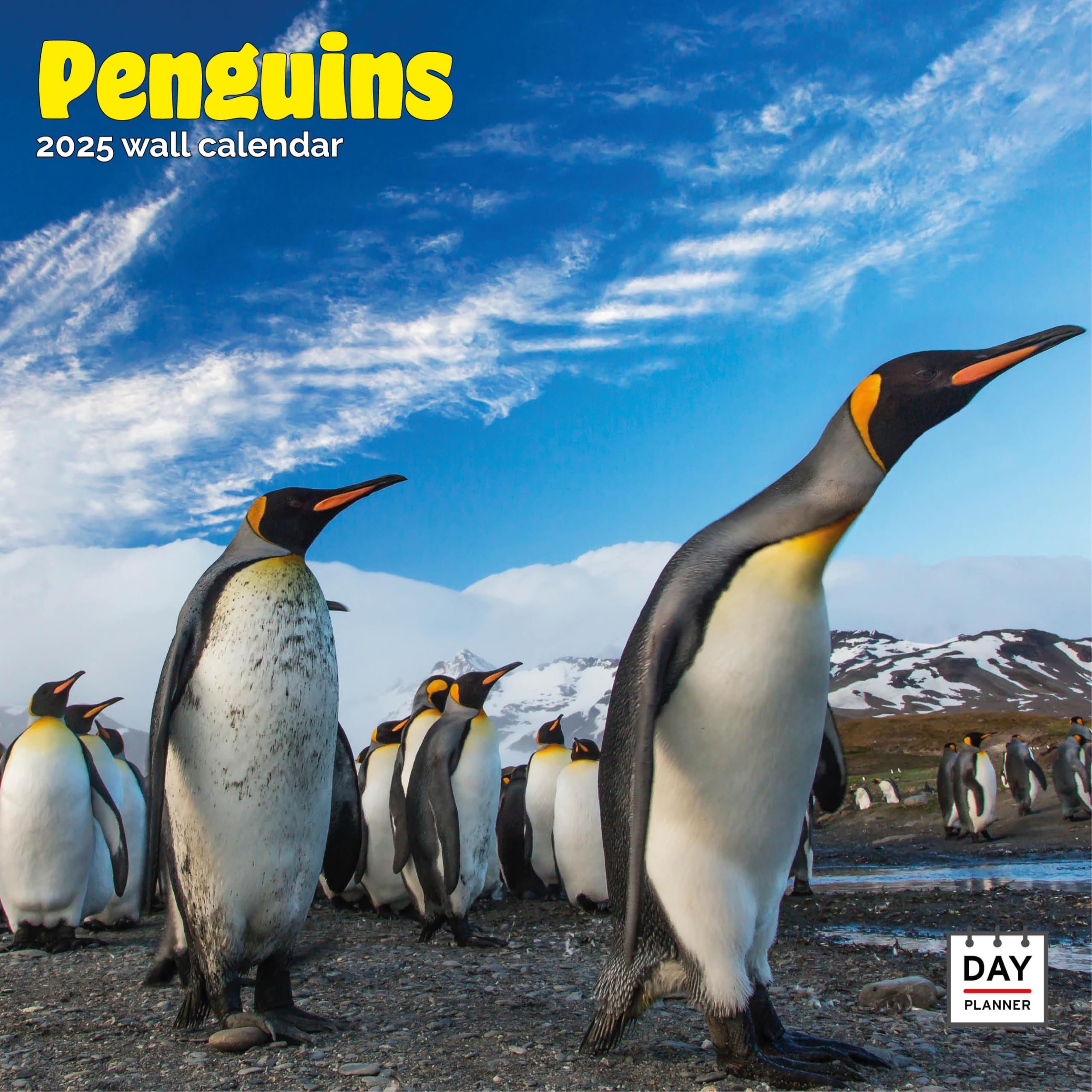 Dayplanner Publishing Penguins Calendar 2026, Large Square Wall Calendar With Organisational Stickers, 16 Month