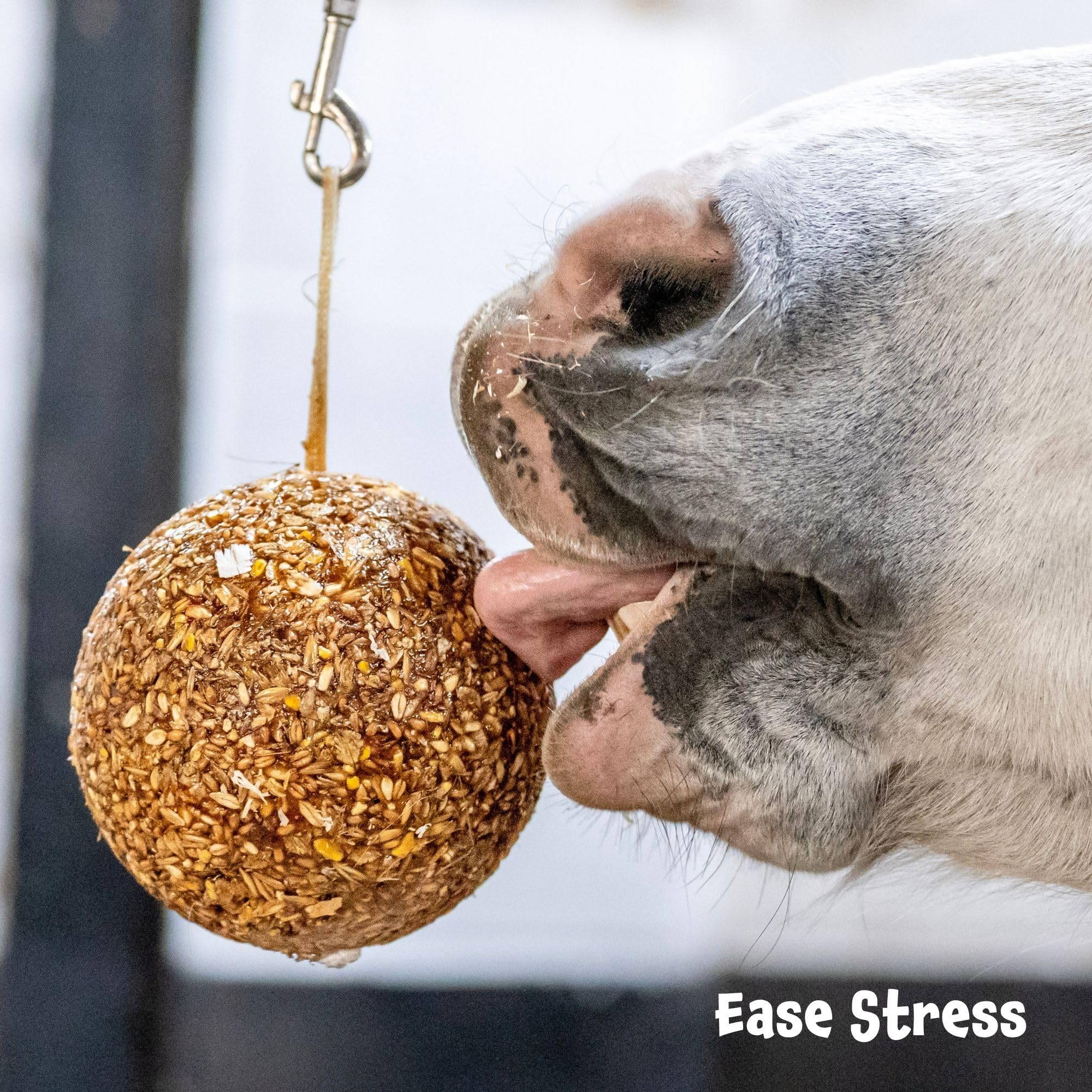 Likit Granola Stall-Ball Horse Treat 1.6kg | Flavours Apple, Mixed Berry, Peppermint, Molasses | Long Lasting, Boredom & Stress Reliever | 1.6kg - Image 4