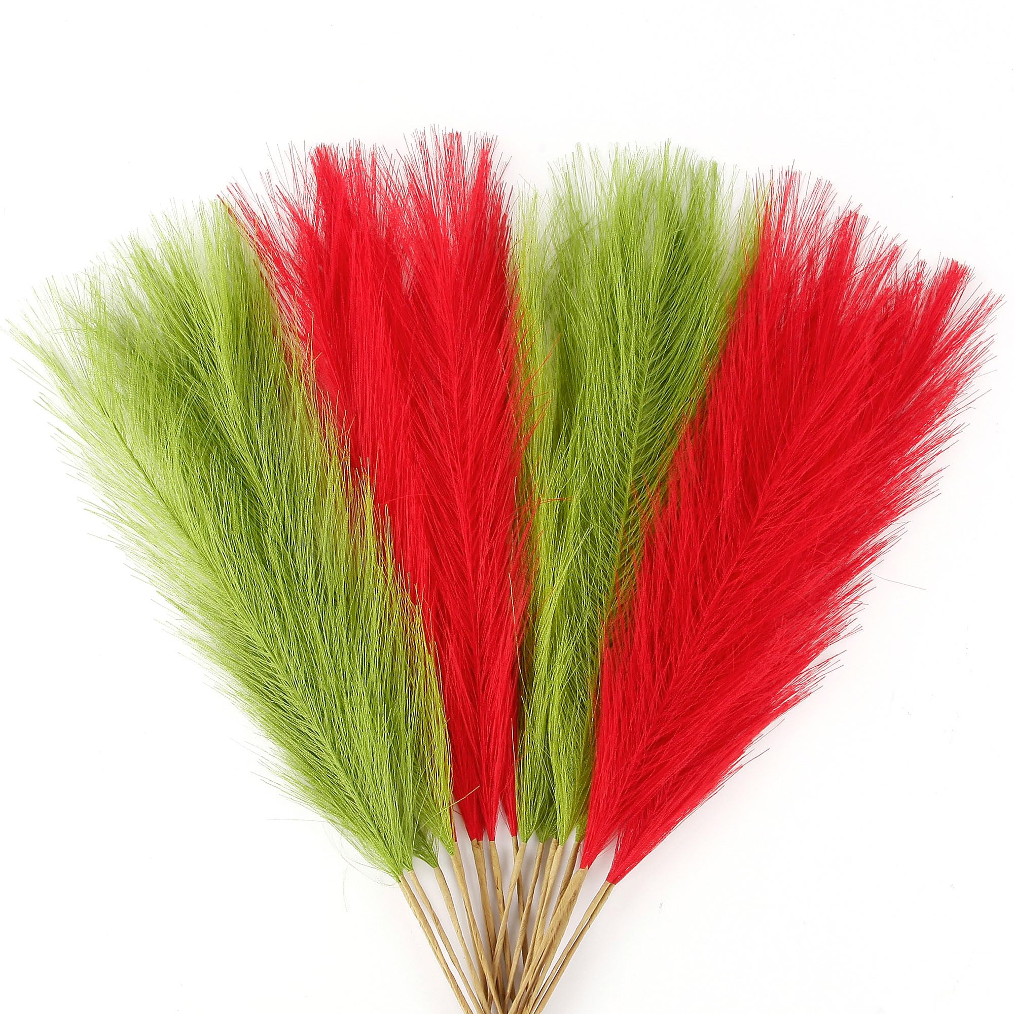 Acfruits Red and Lime Green Pampas Grass Decor - dried and preserved flora | Mubboo