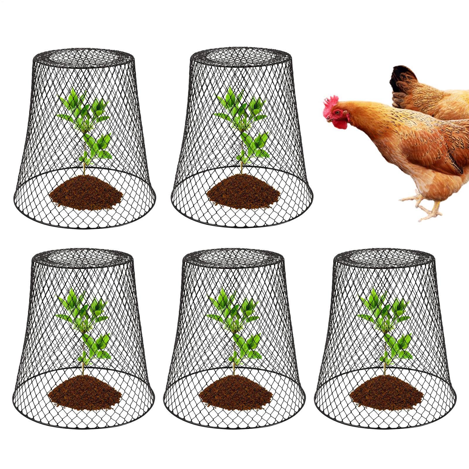 Cloches de Protection pour de Jardin 5 Pièces de Clôture Anti-Animaux en
