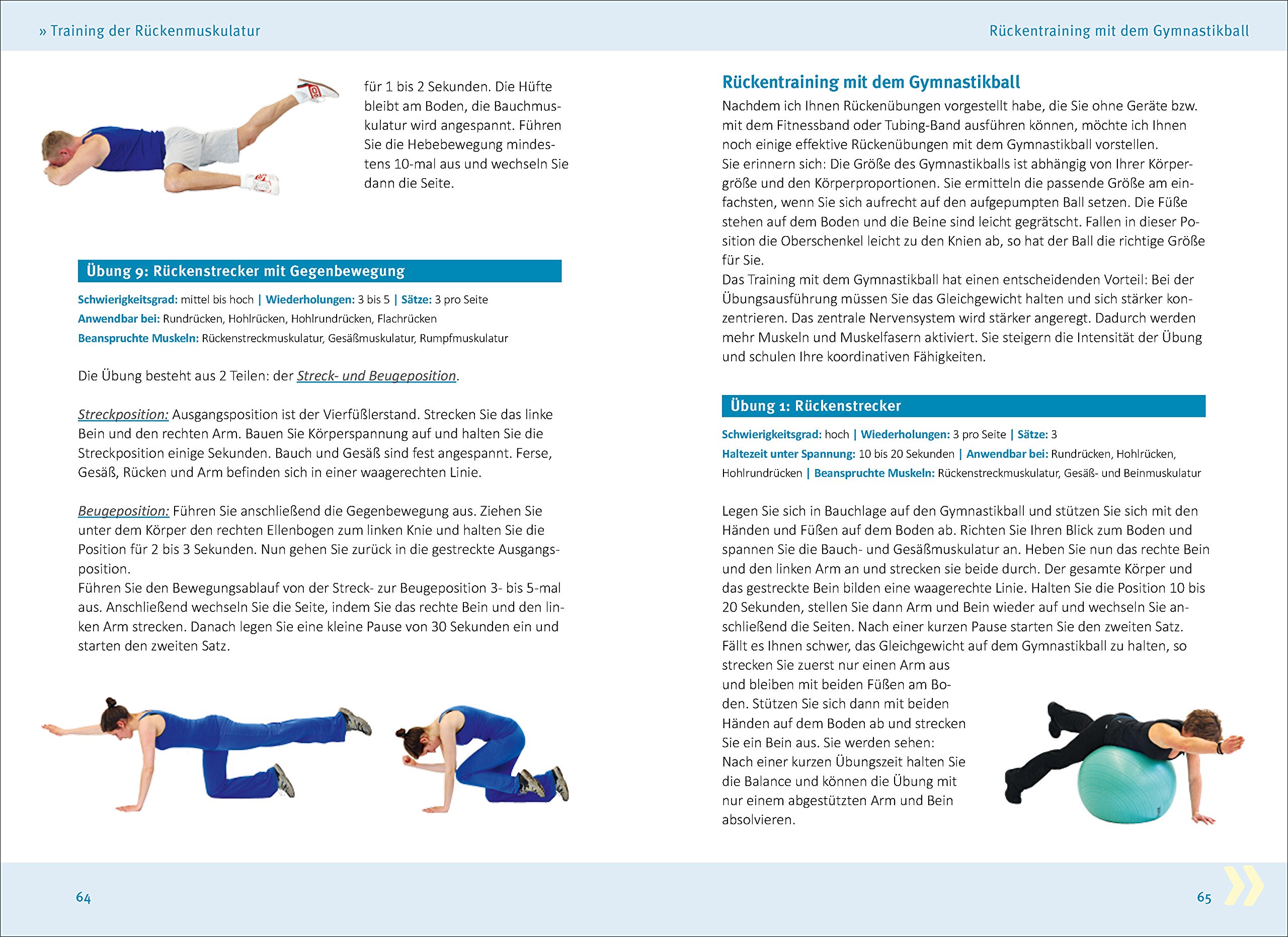 Rückenfit & Kreuzfidel: Das Training für Rücken und aufrechte Körperhaltung (Trainingsreihe von Ronald Thomschke)