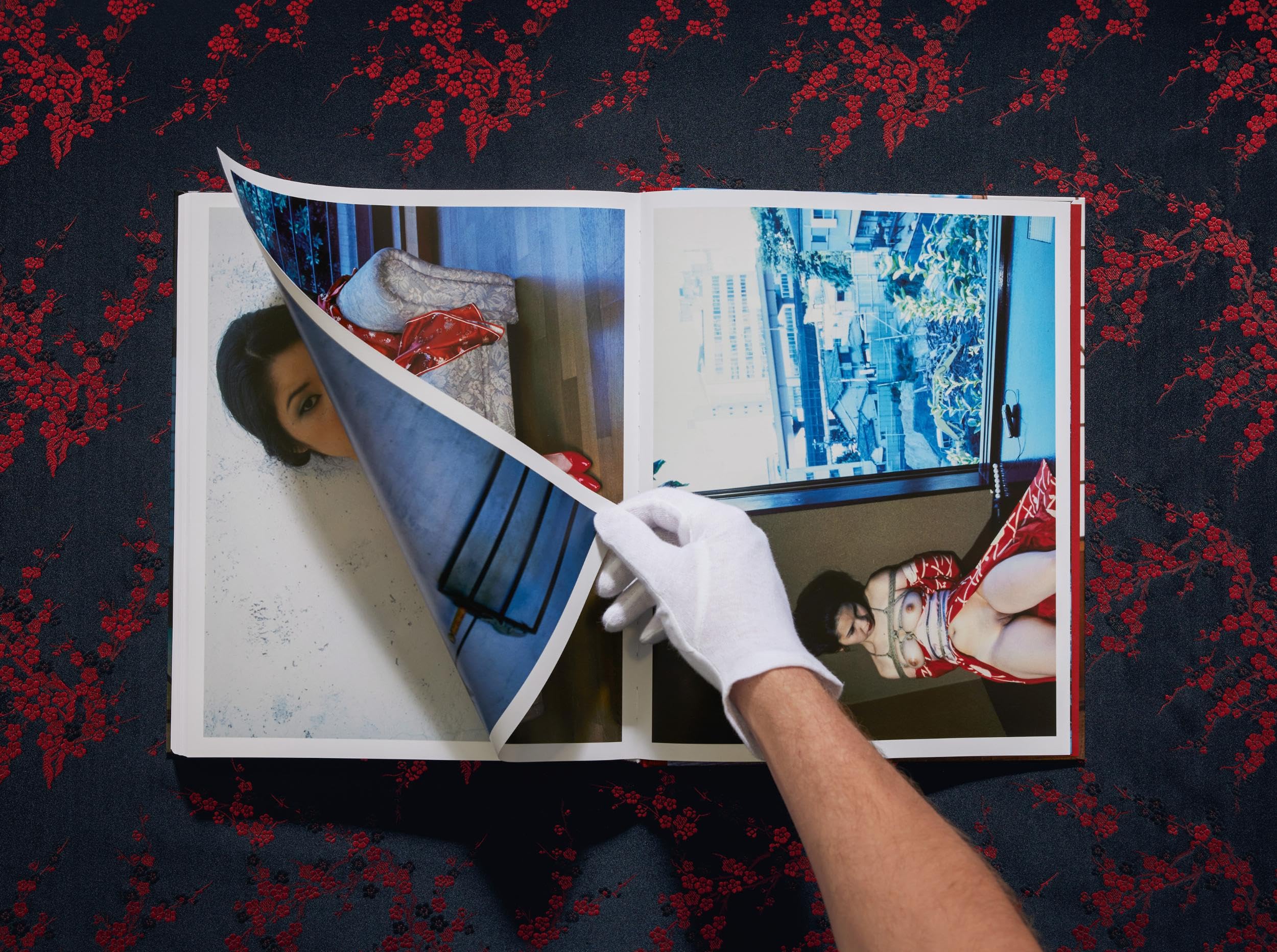 Araki: Bondage