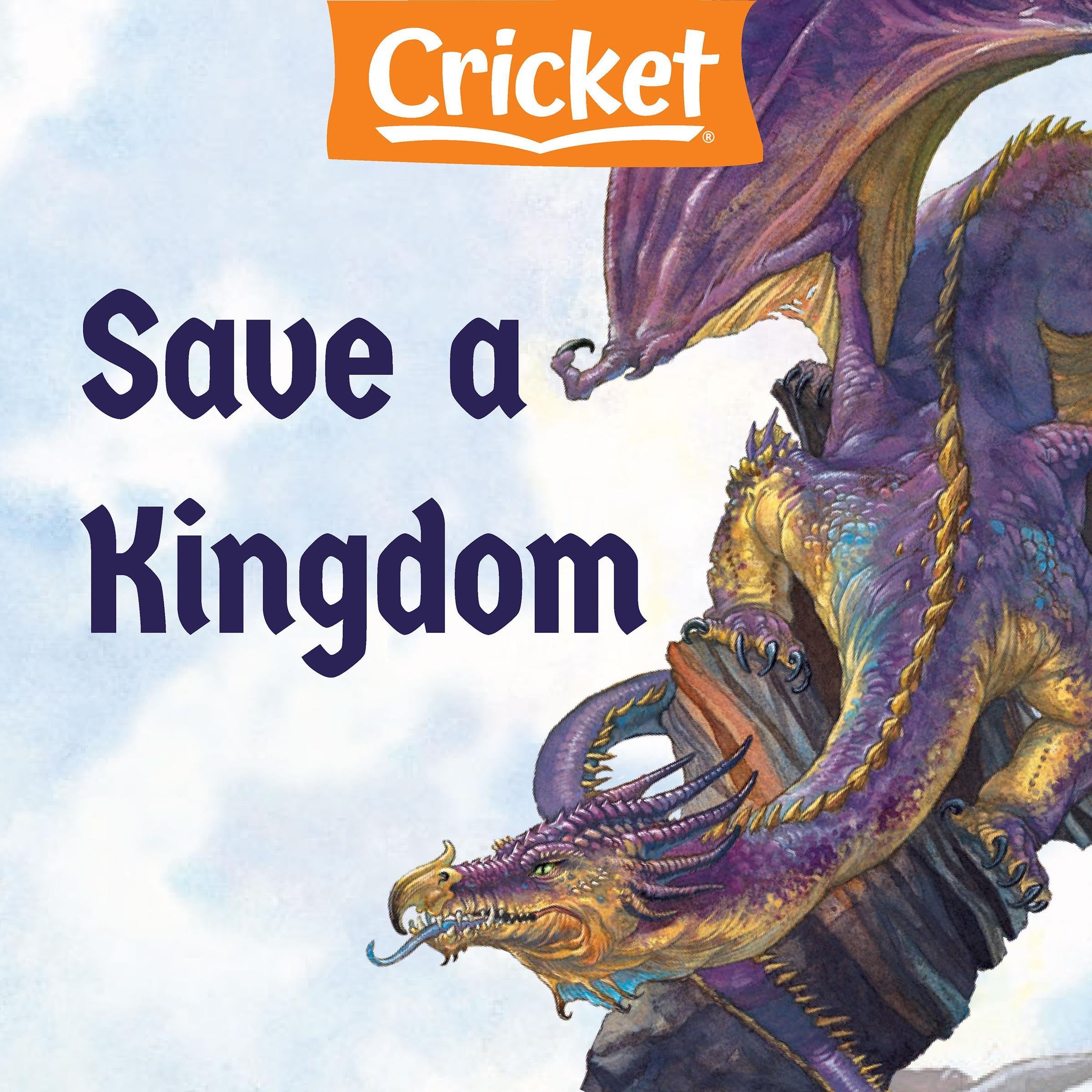 Save a Kingdom