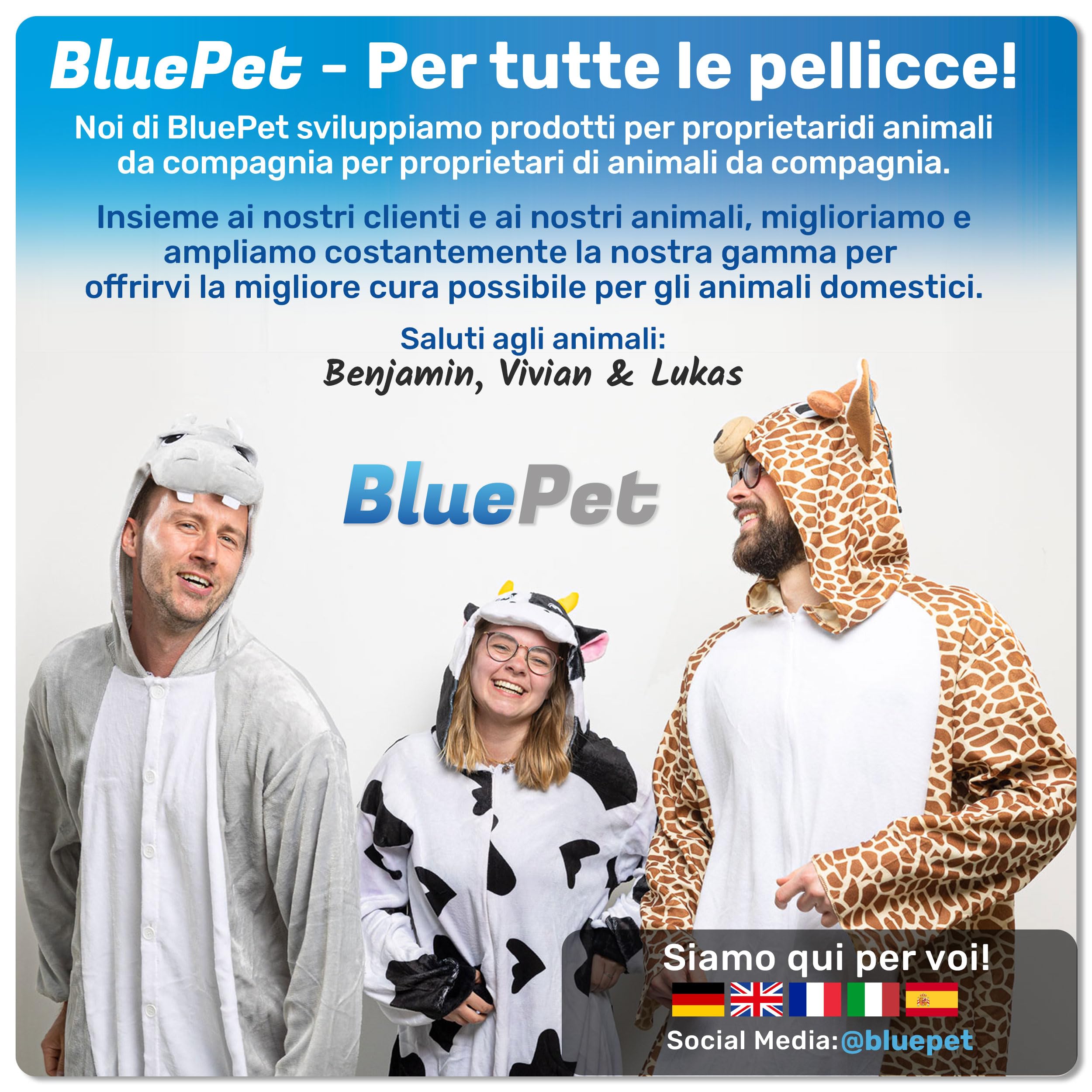 BluePet 3X Ganci per Zecche per Cani, Gatti, Cavalli e Umani - Rimuovi Zecche, Pinza per Zecche per Cane, Gatto, Uomo, Alternativa alle Pinzette per Zecche, Togliere Zecche e Tira Zecche