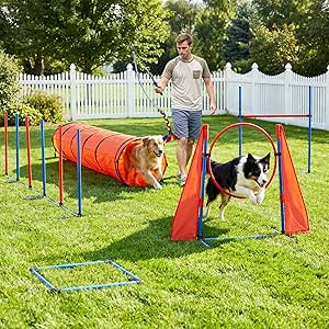 DWVO Dog Agility Training Kit with Teaser Pole, Hurdles, Tunnel & Pause Box